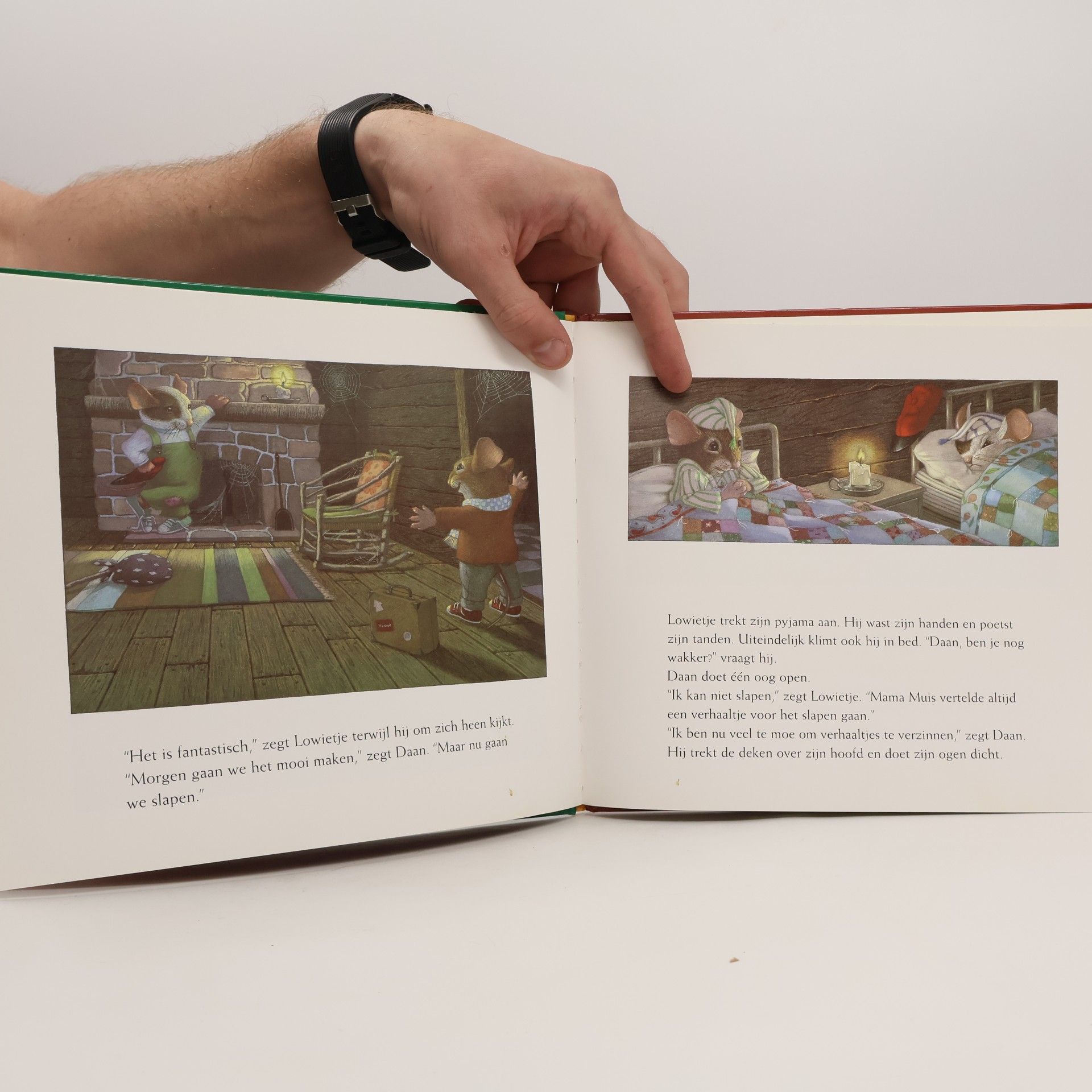 Bonnie Pryor Stekelmuis (Een Westeinde prentenboek)