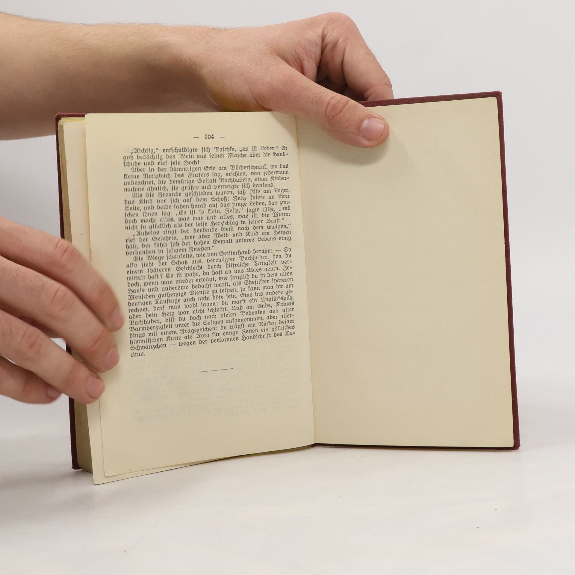 Gustav Freytag Die verlorene Handschrift