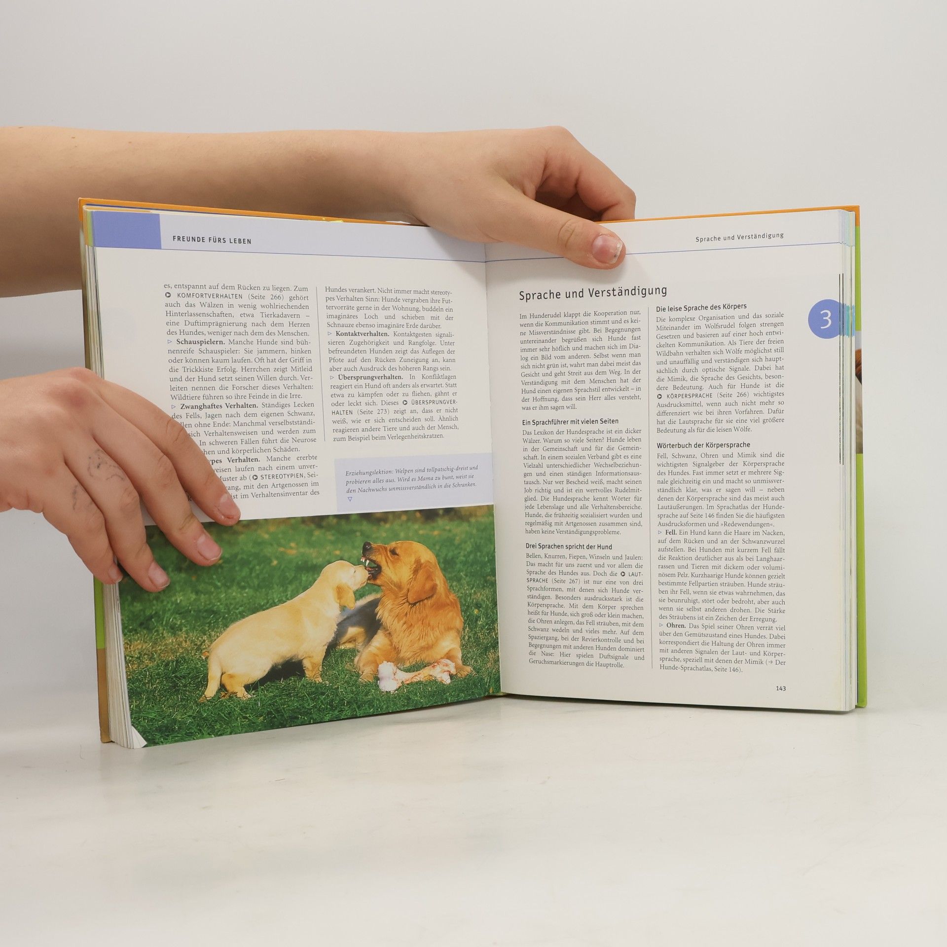 Gerd Ludwig Das große GU-Praxishandbuch Hunde