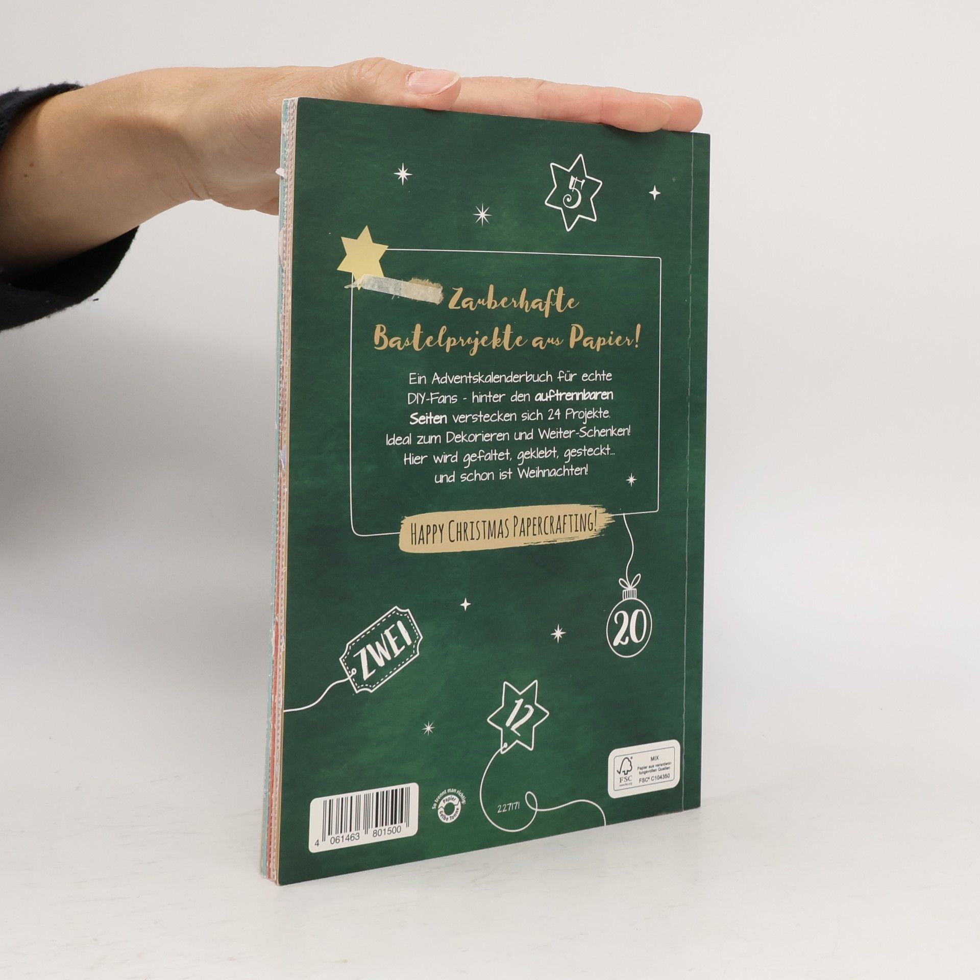 Kathrin Reese Meine 24 DIY Projekte
