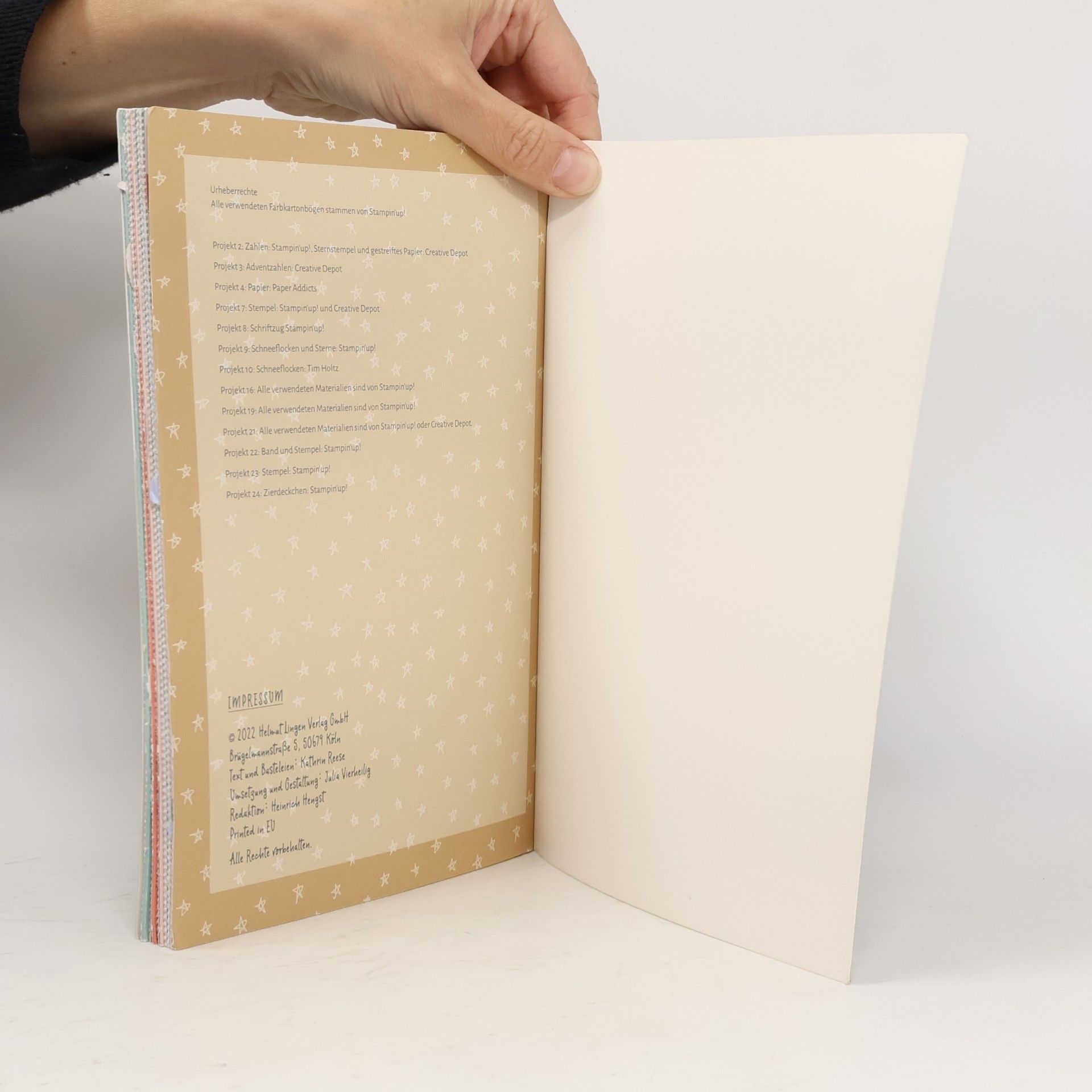 Kathrin Reese Meine 24 DIY Projekte