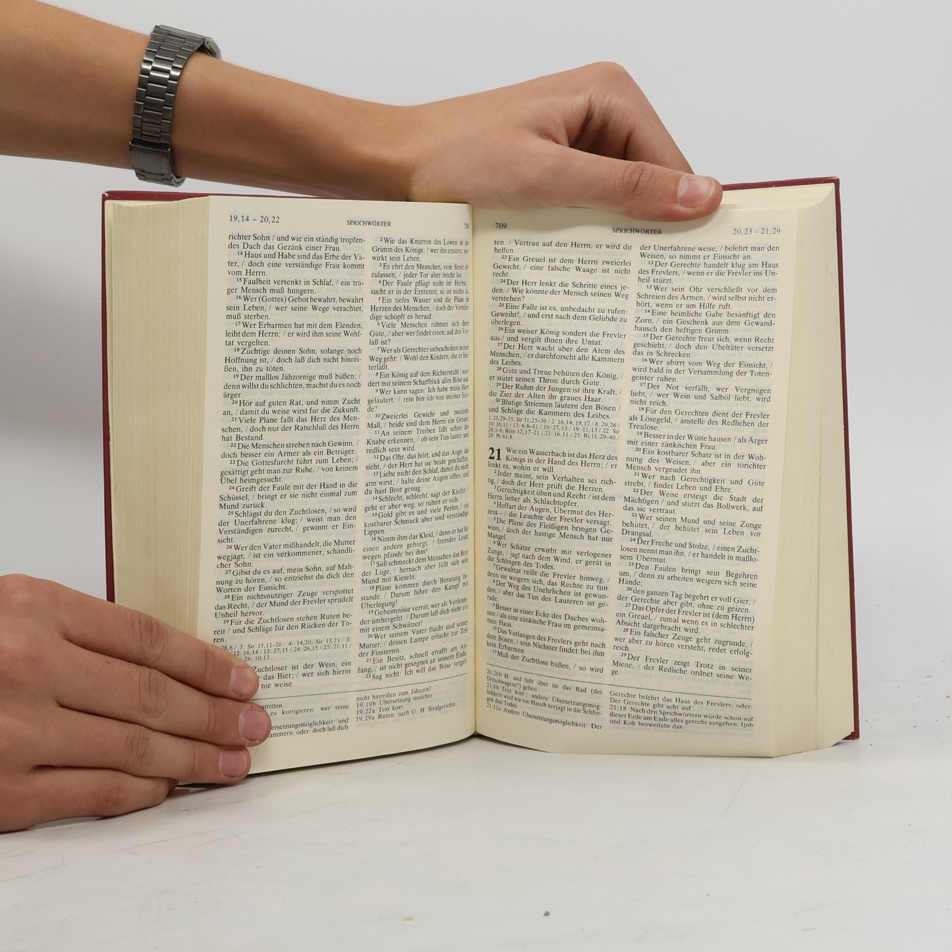 Kolektiv autorů Die Bibel