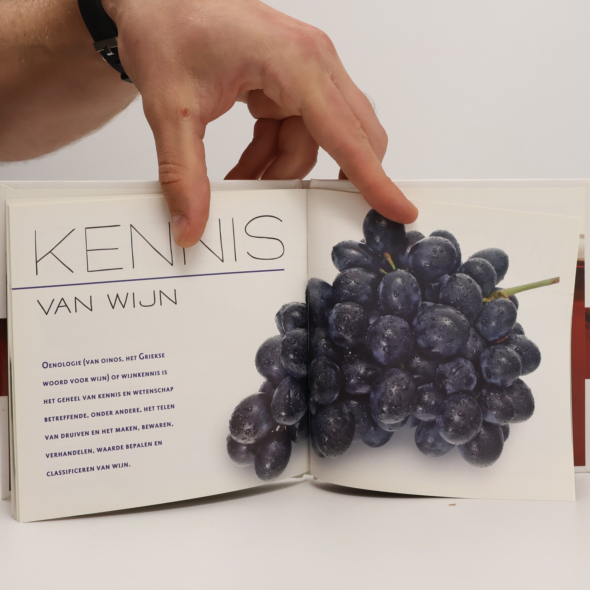 Various authors Wijn