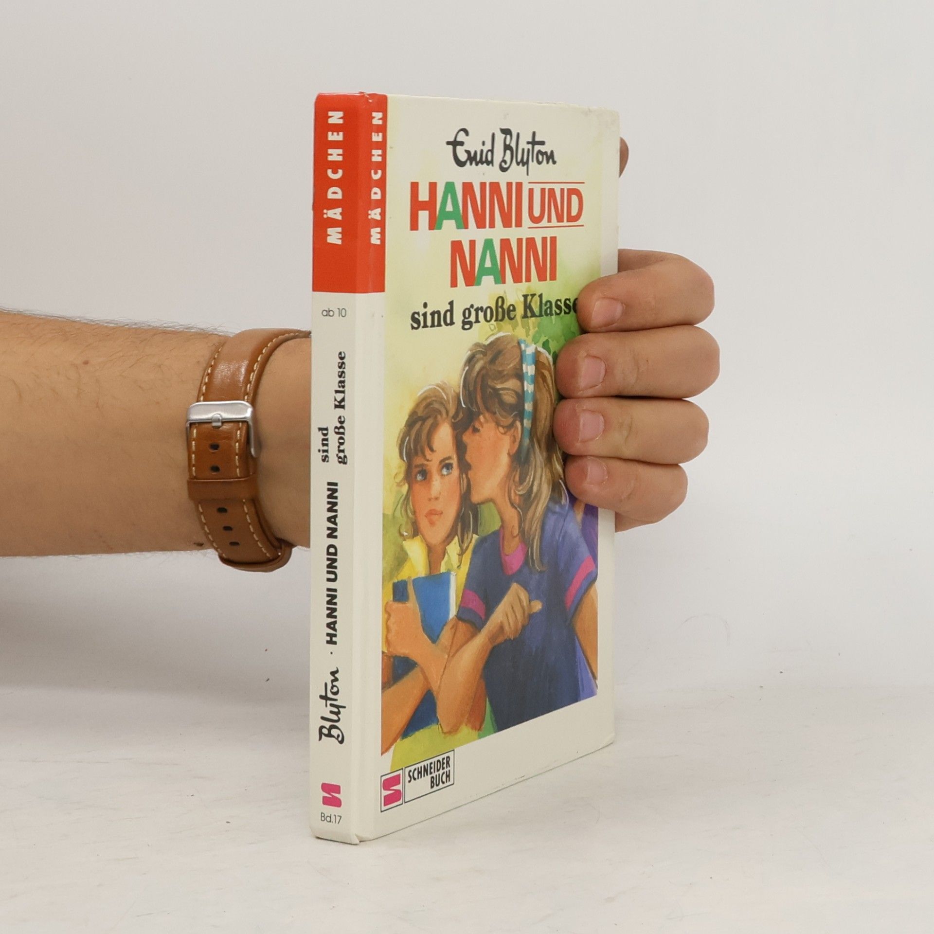 Enid Blyton Hanni und Nanni sind grosse Klasse