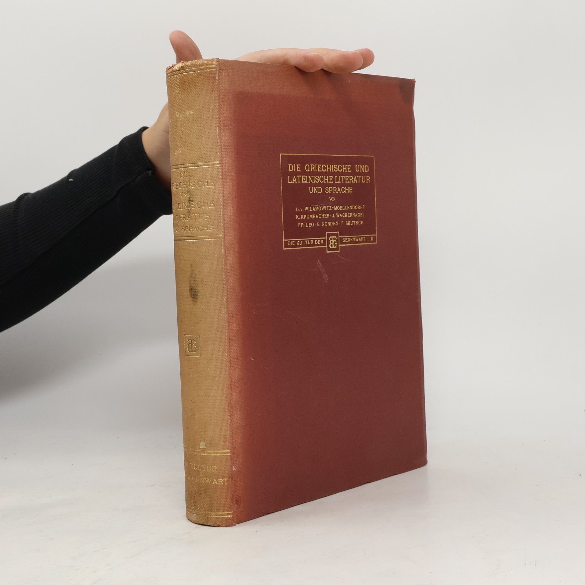 Kolektiv autorů Die griechische und lateinische Literatur und Sprache
