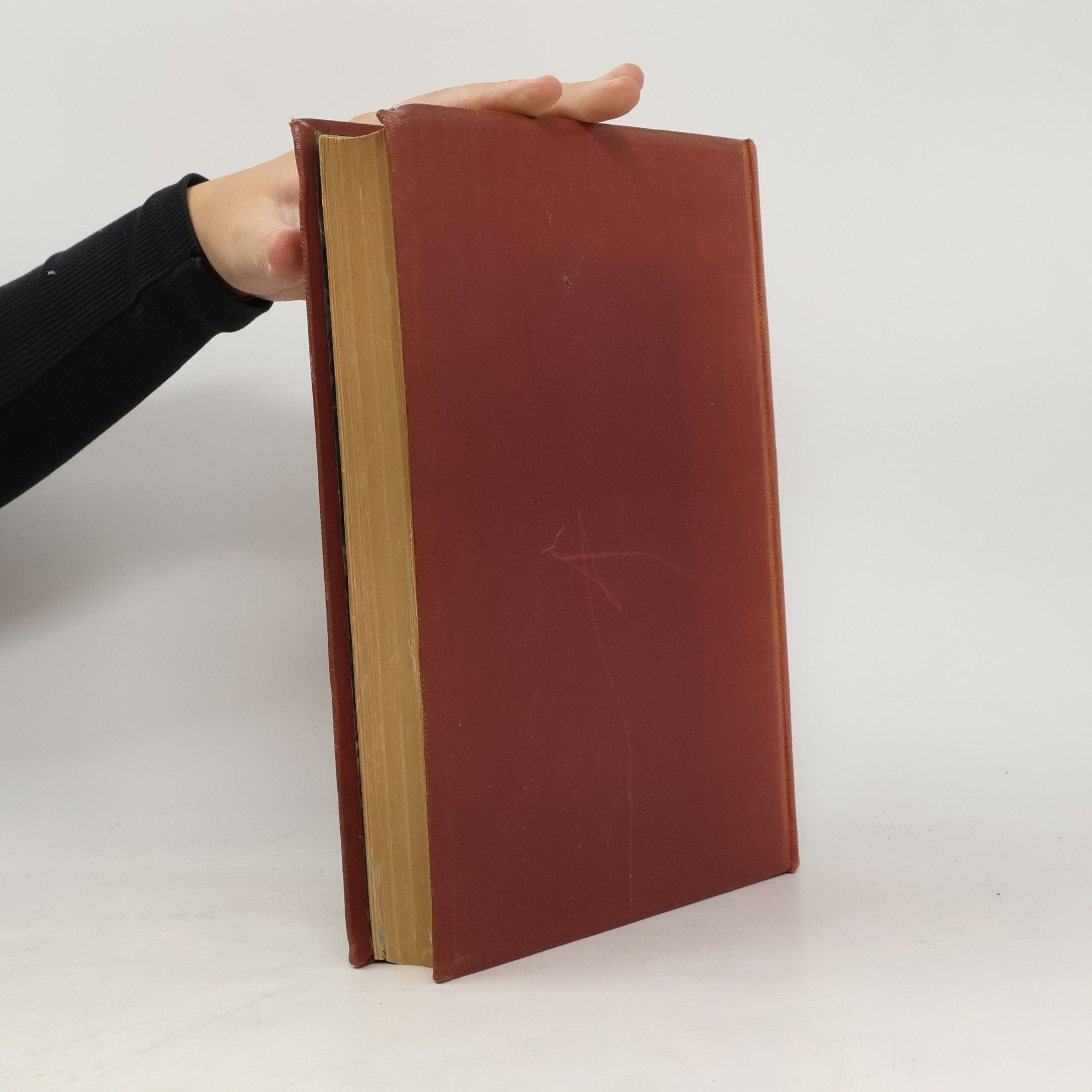 Kolektiv autorů Die griechische und lateinische Literatur und Sprache