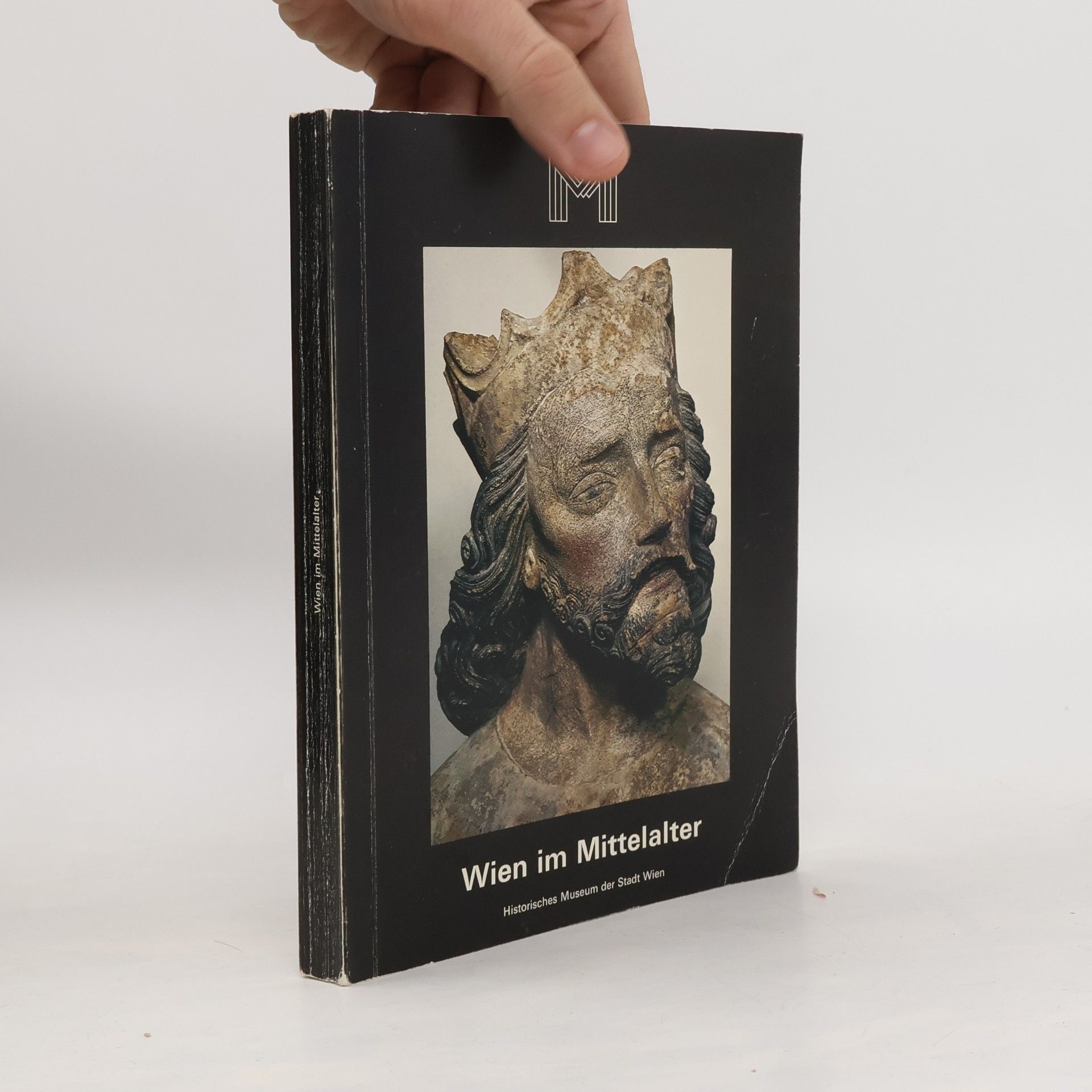 Collectif d'auteurs Wien im Mittelalter
