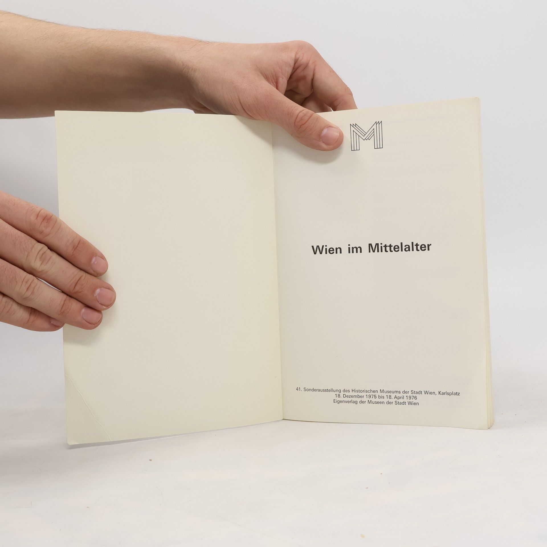 Collectif d'auteurs Wien im Mittelalter
