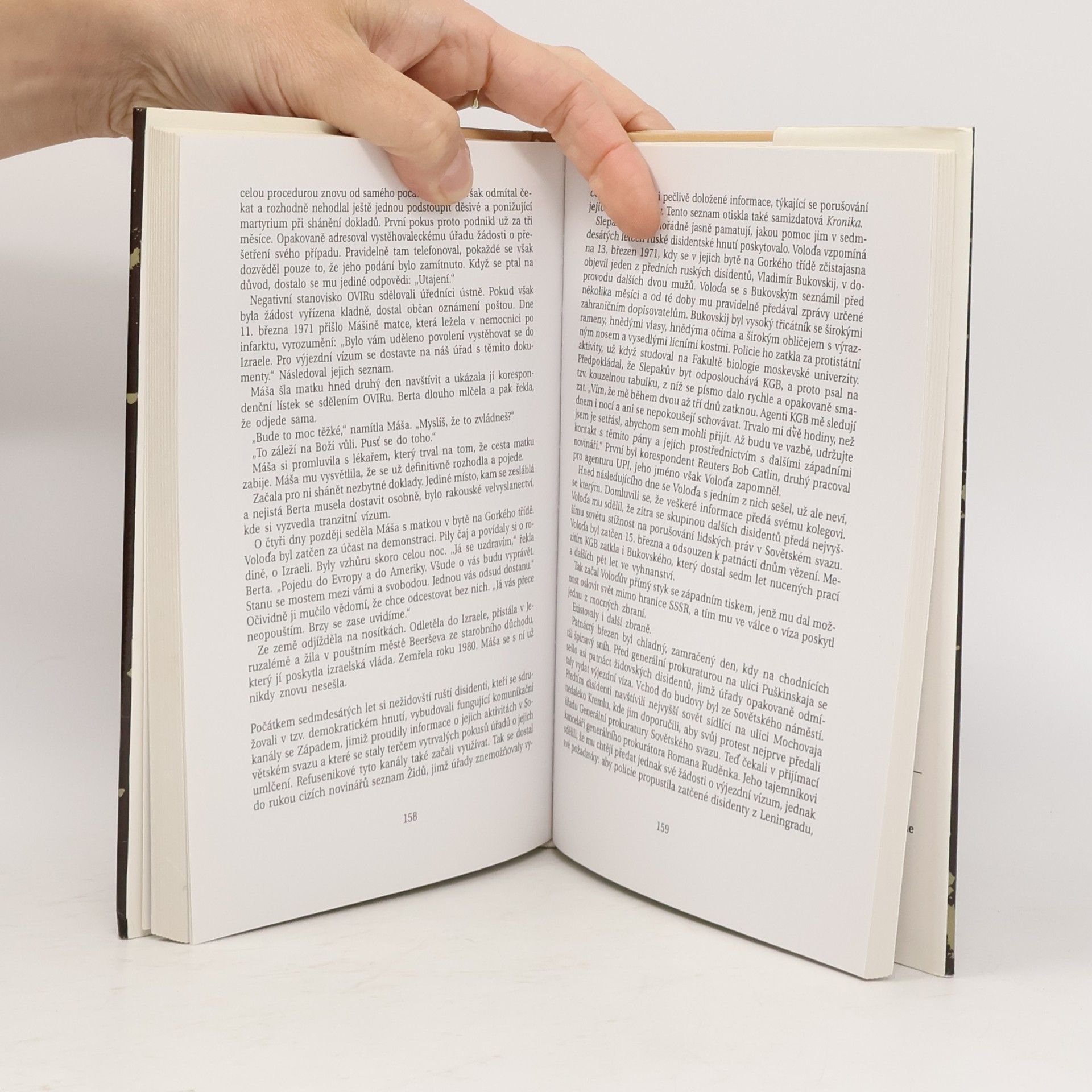 Chaim Potok Brány listopadu