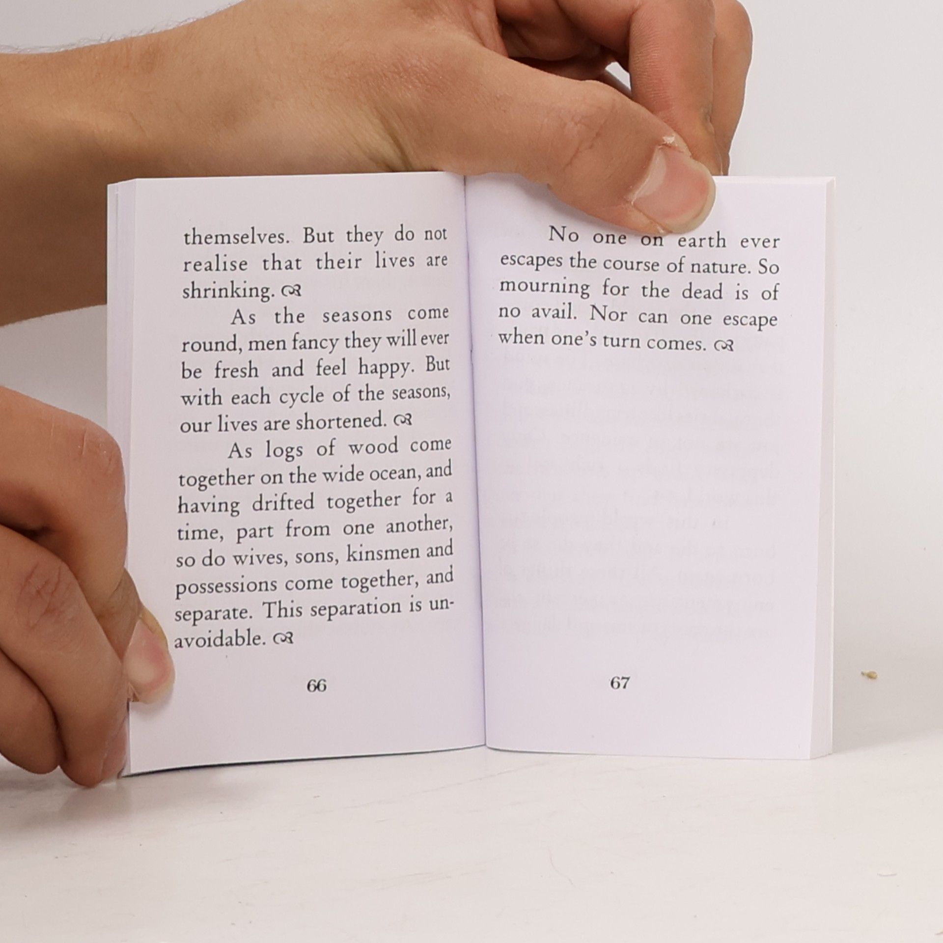 Autorenkollektiv Thus Spake Sri Rama