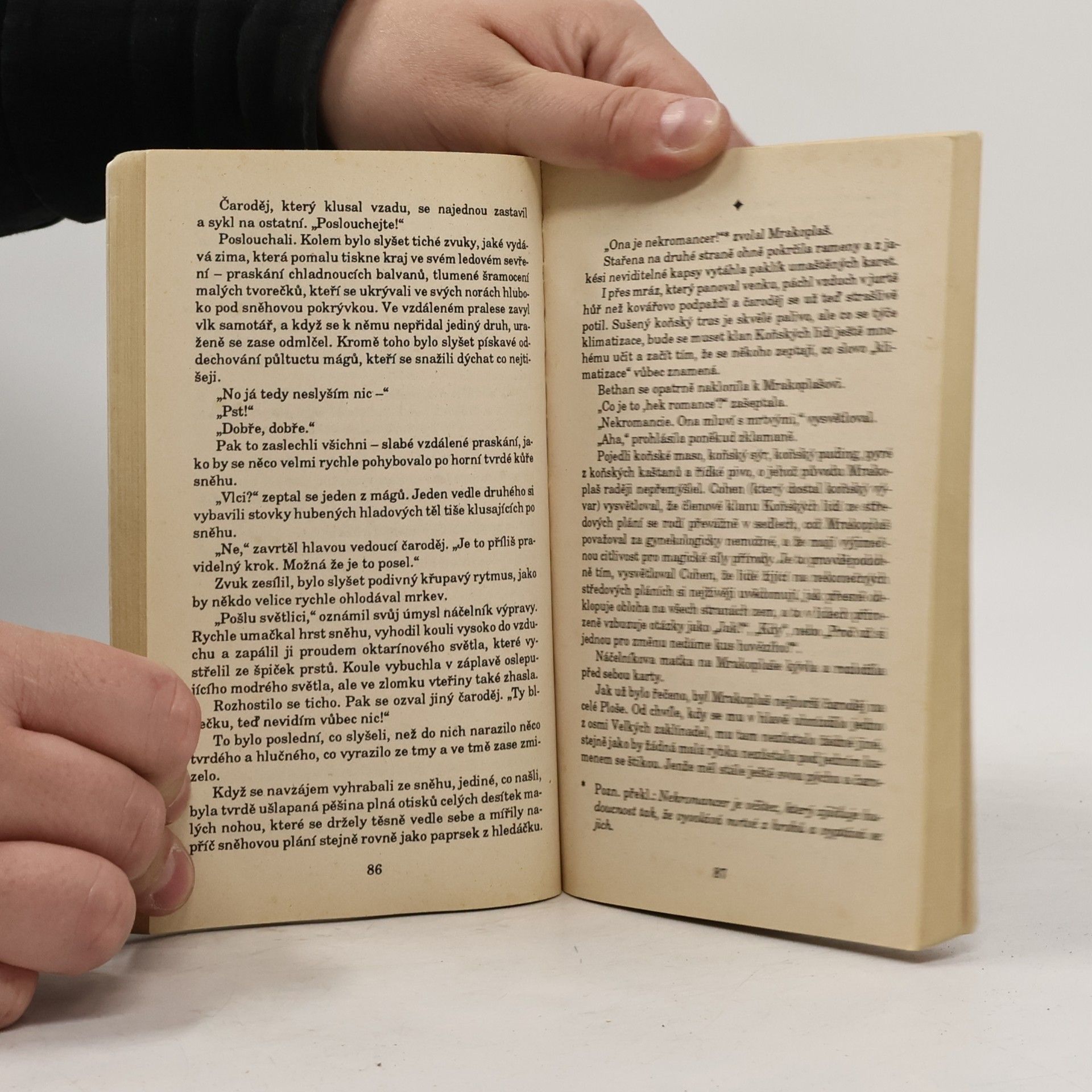 Terry Pratchett Lehké fantastično