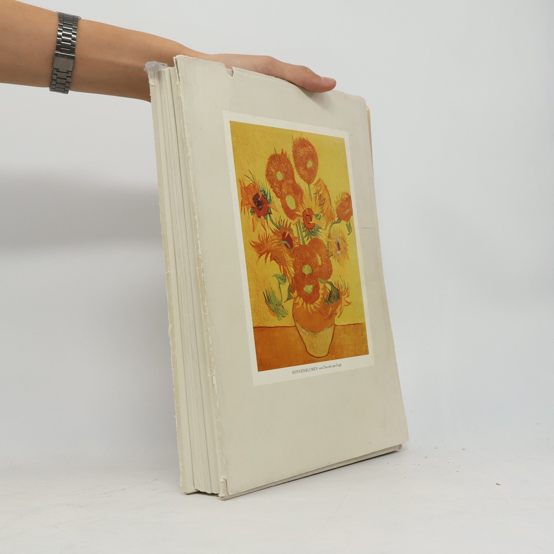 Autorenkollektiv Grosse Maler Berühmte Bilder
