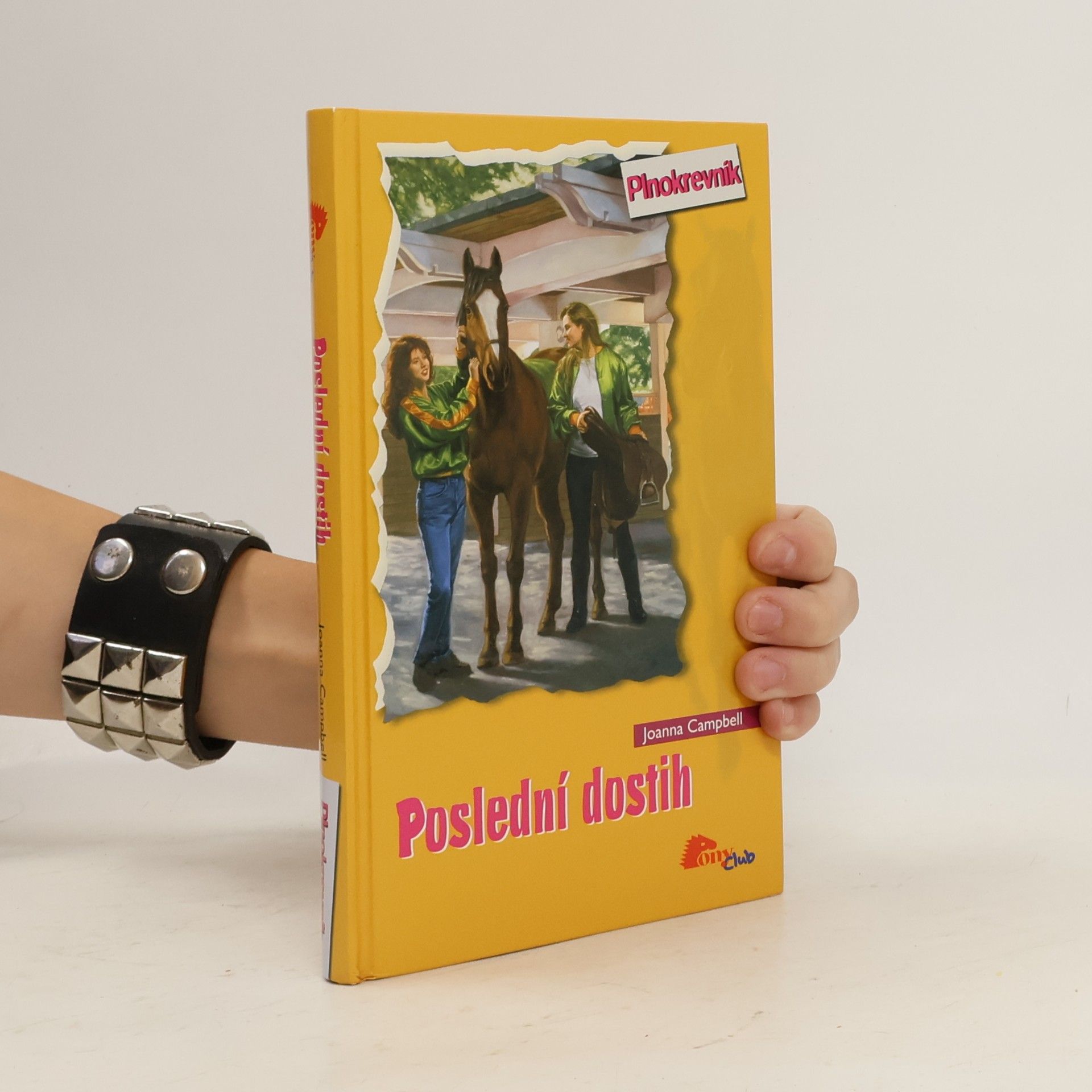 Poslední dostih