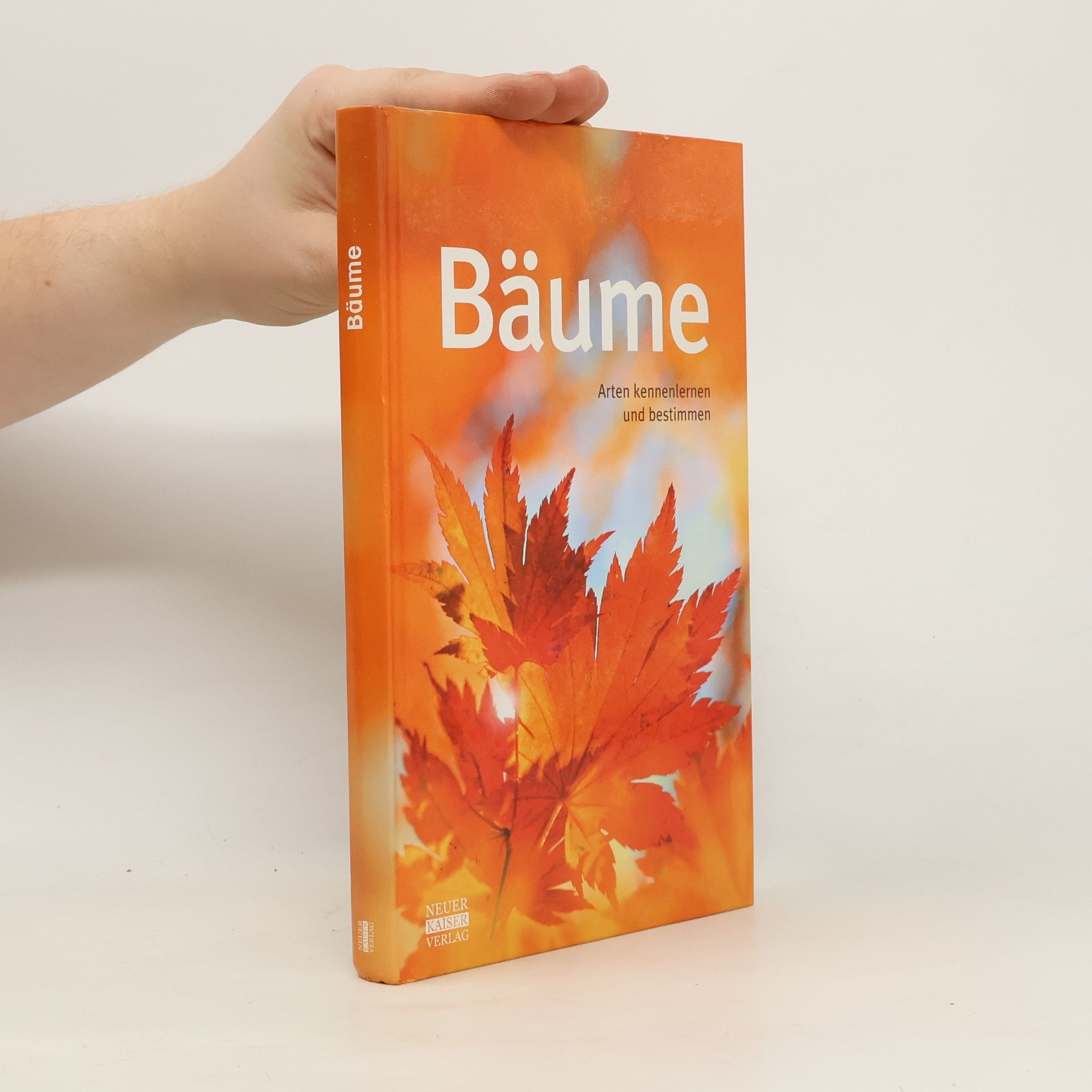 Bäume