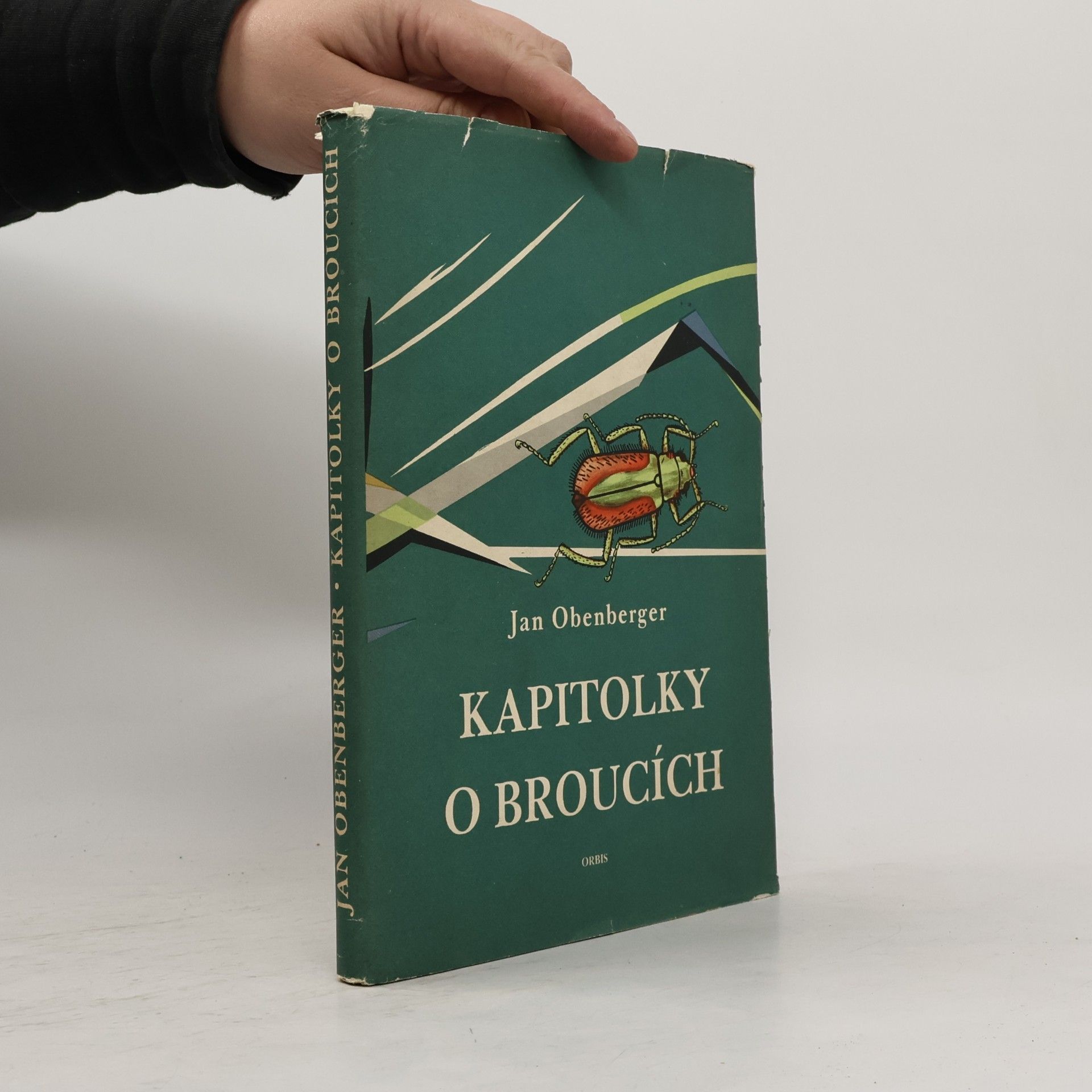 Kapitolky o broucích