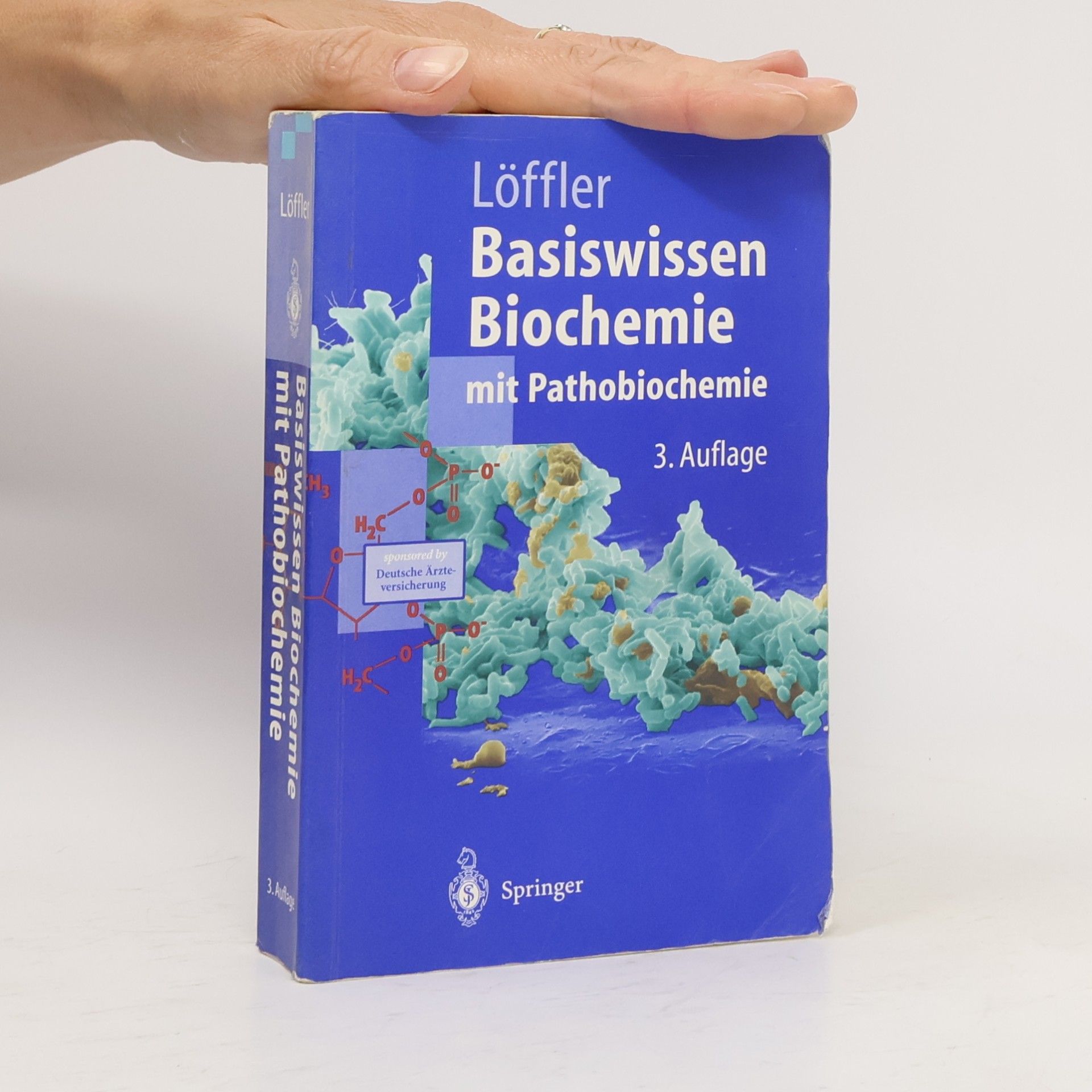 Basiswissen Biochemie