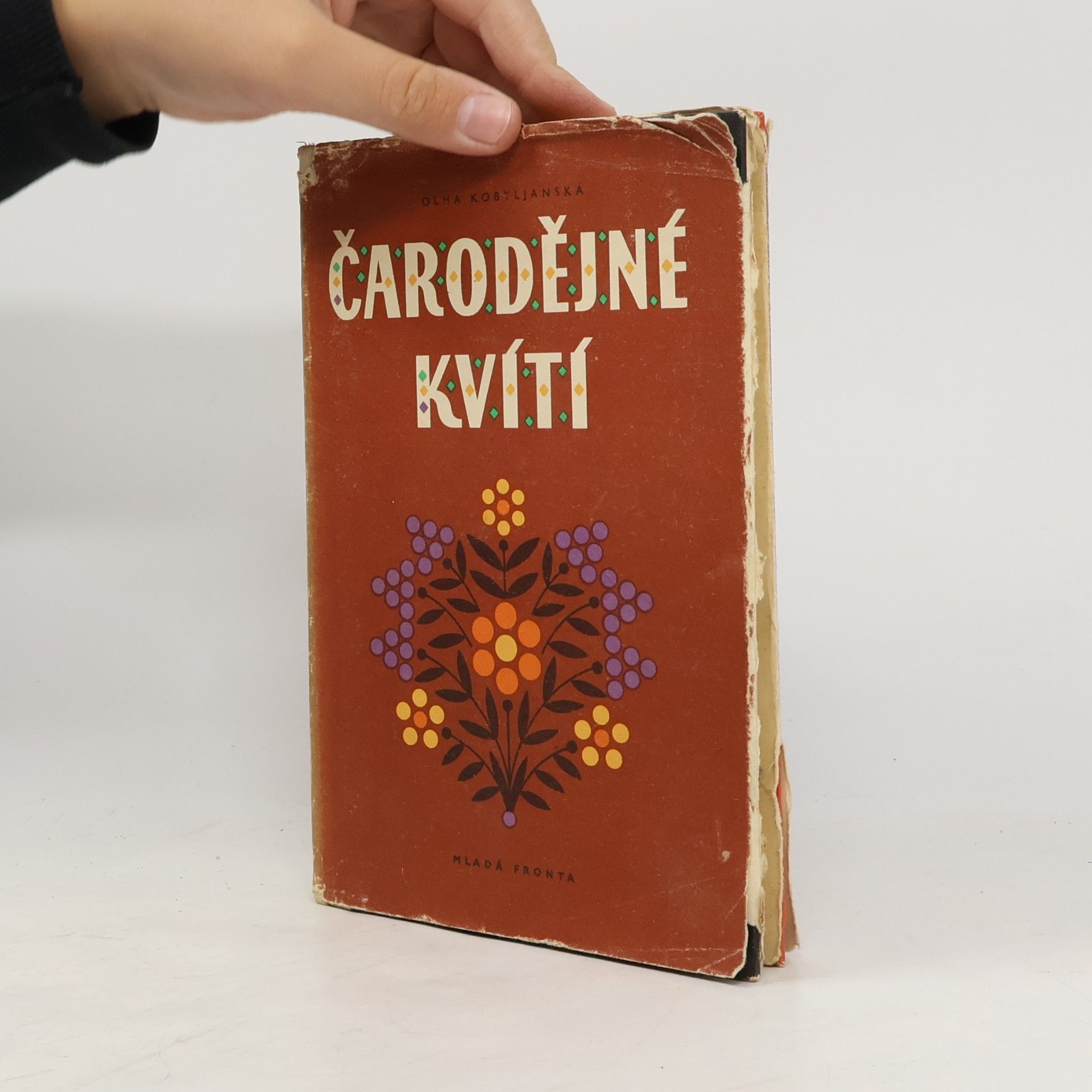 Olha Kobyljanska Čarodějné kvítí