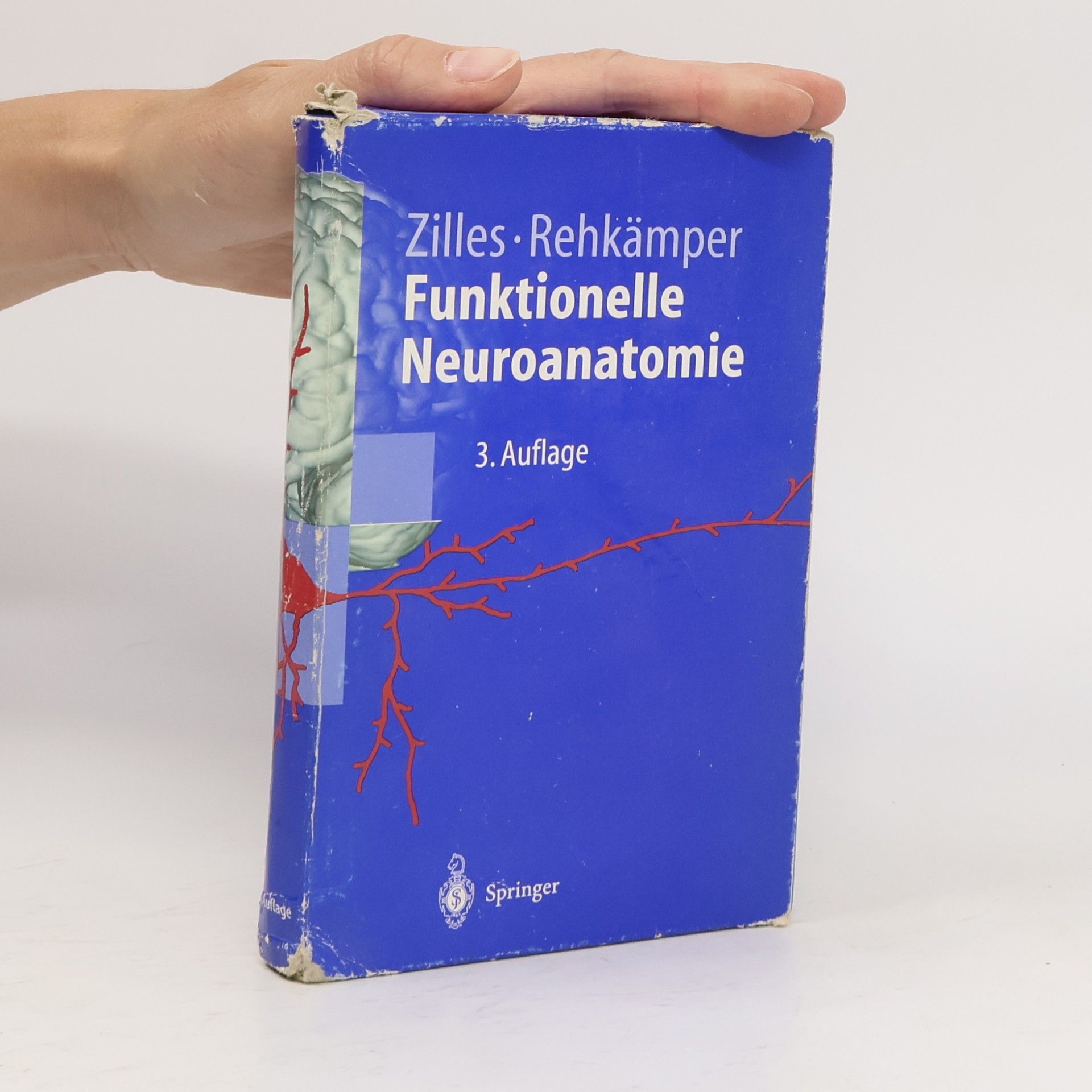 Funktionelle Neuroanatomie
