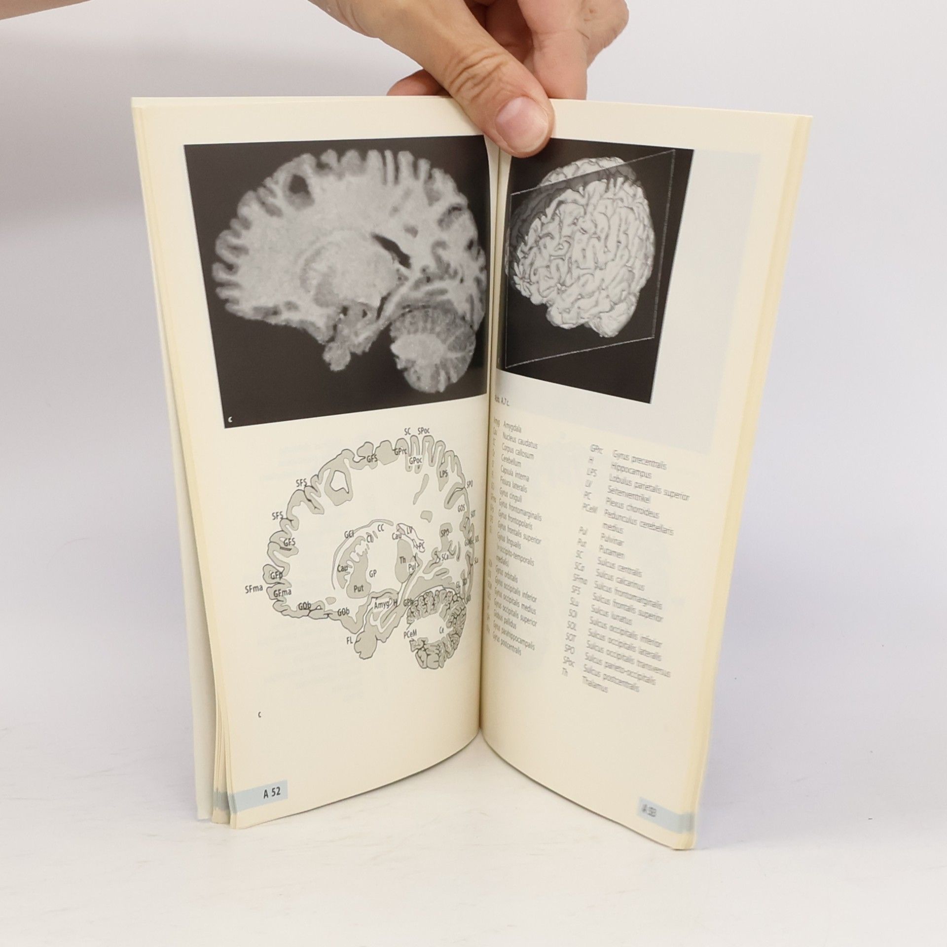 Karl Zilles Funktionelle Neuroanatomie