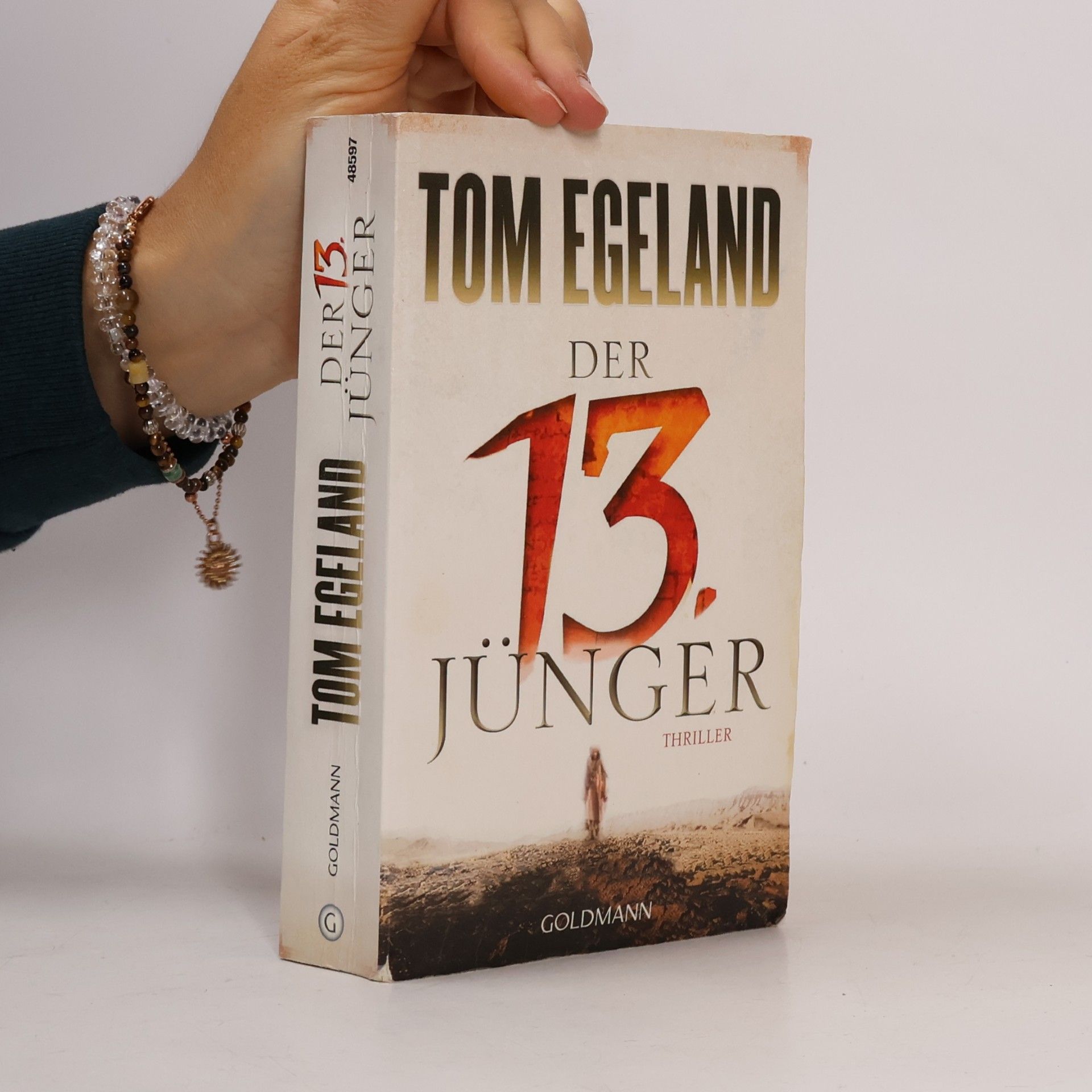 Tom Egeland Der 13. Jünger