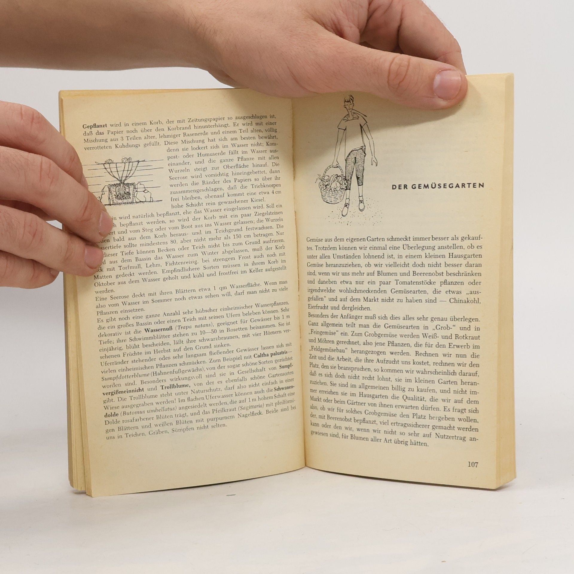 Huberta von Bronsart Das Gartenbuch fürs ganze Jahr