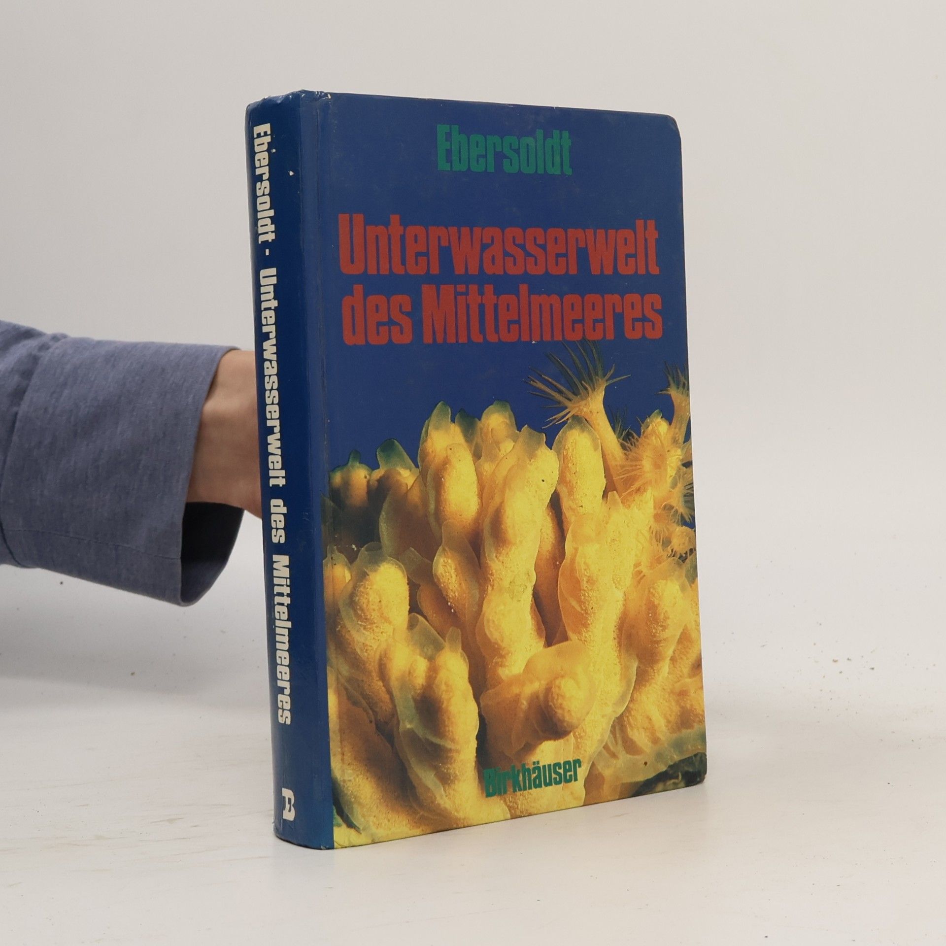 Margot Ebersoldt Unterwasserwelt des Mittelmeeres