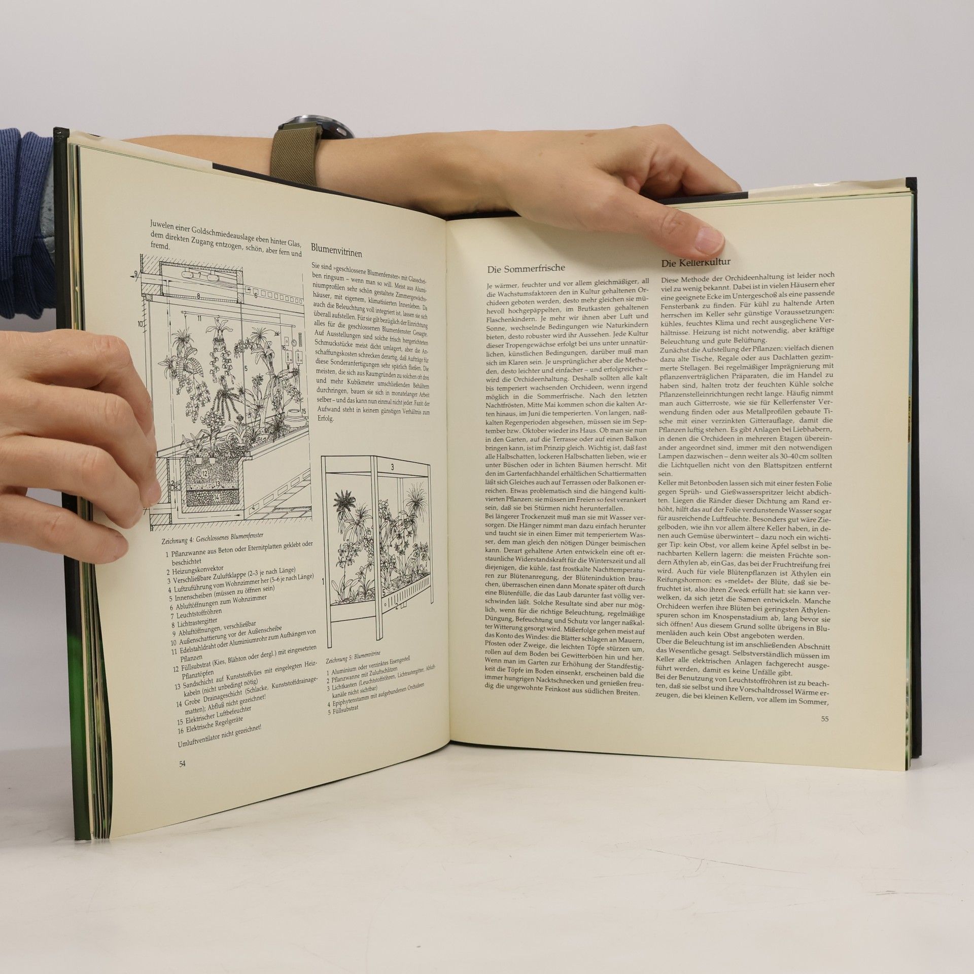 Karl E. Graebner Freude an Orchideen