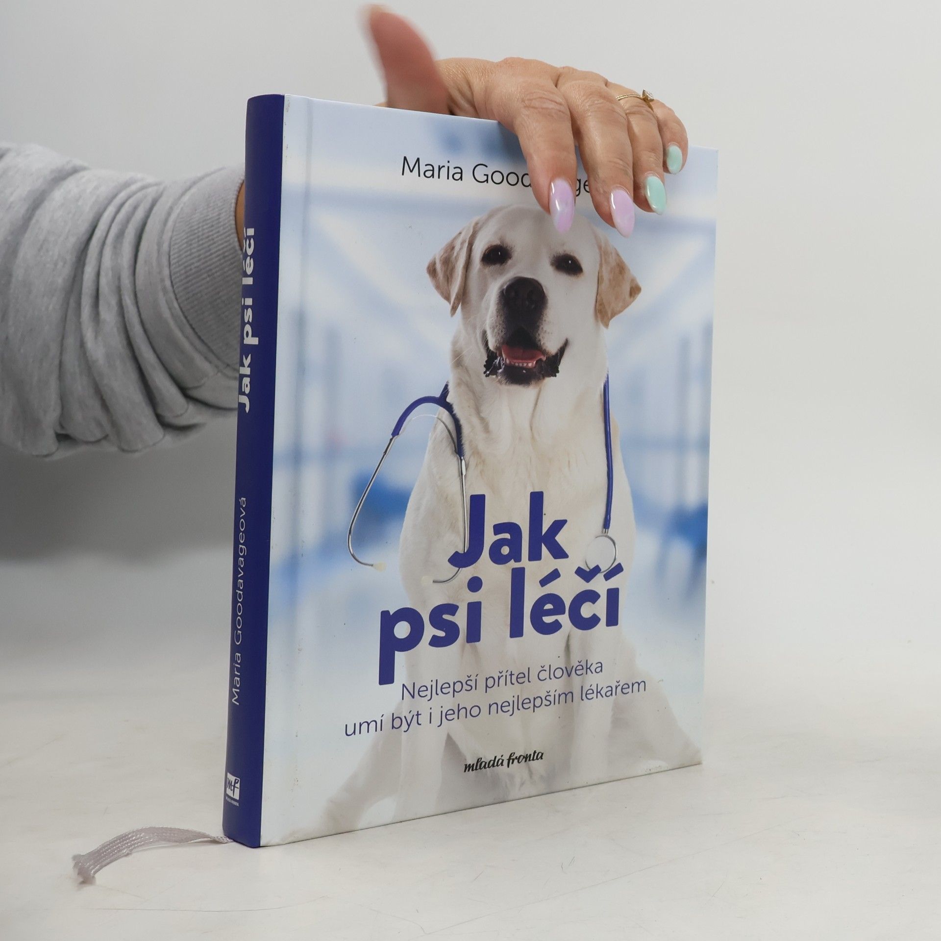 Jak psi léčí
