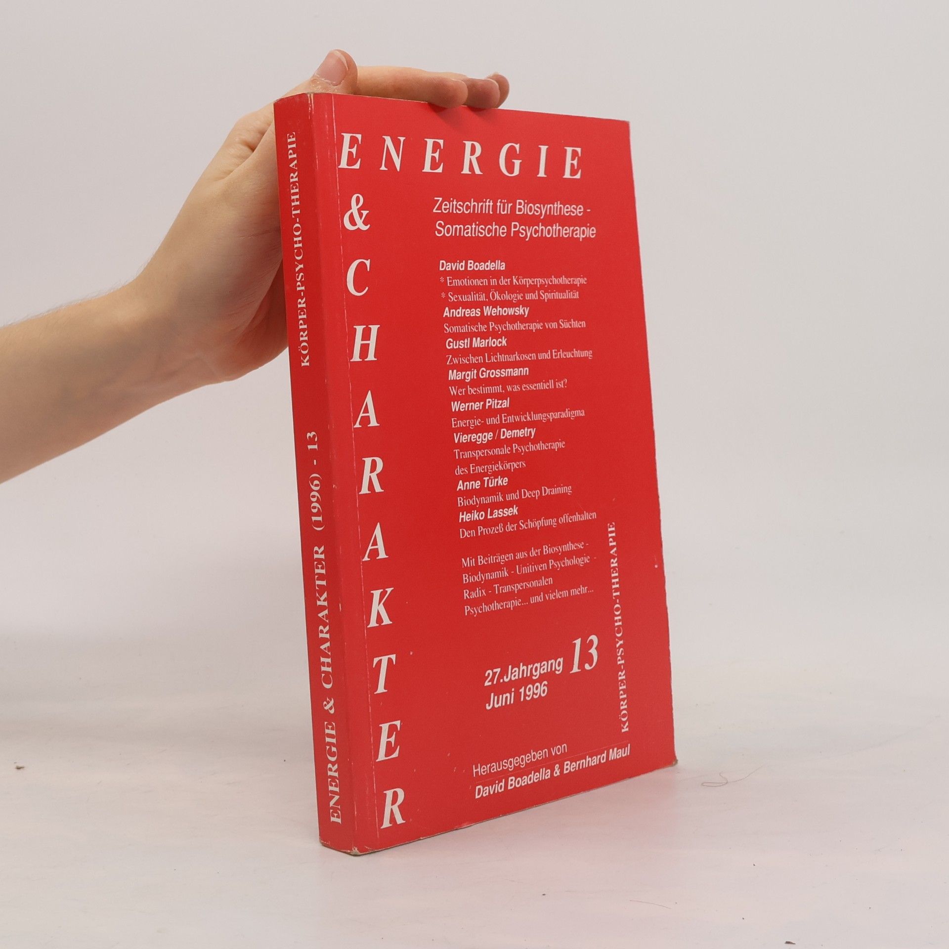 Energie & Charakter 13