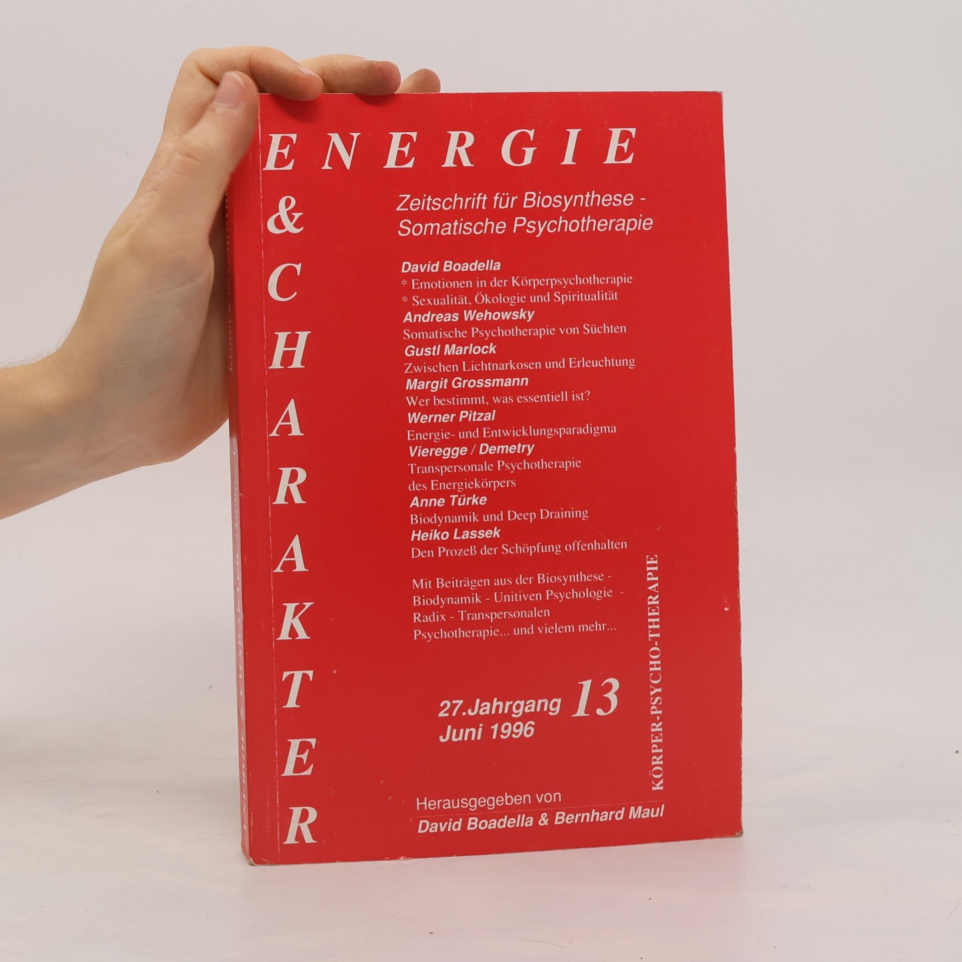 David Boadella Energie & Charakter 13