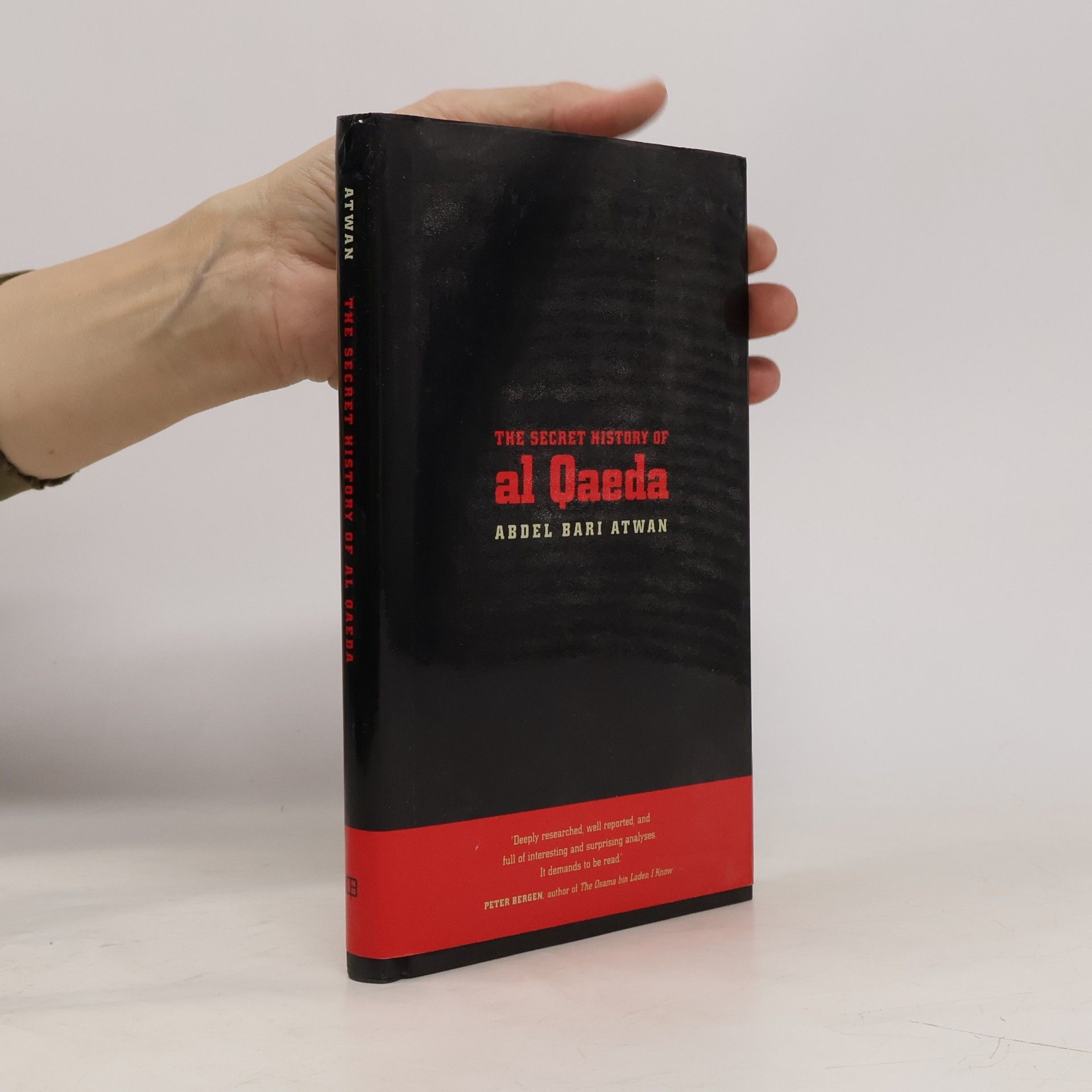 The Secret History of al Qaeda