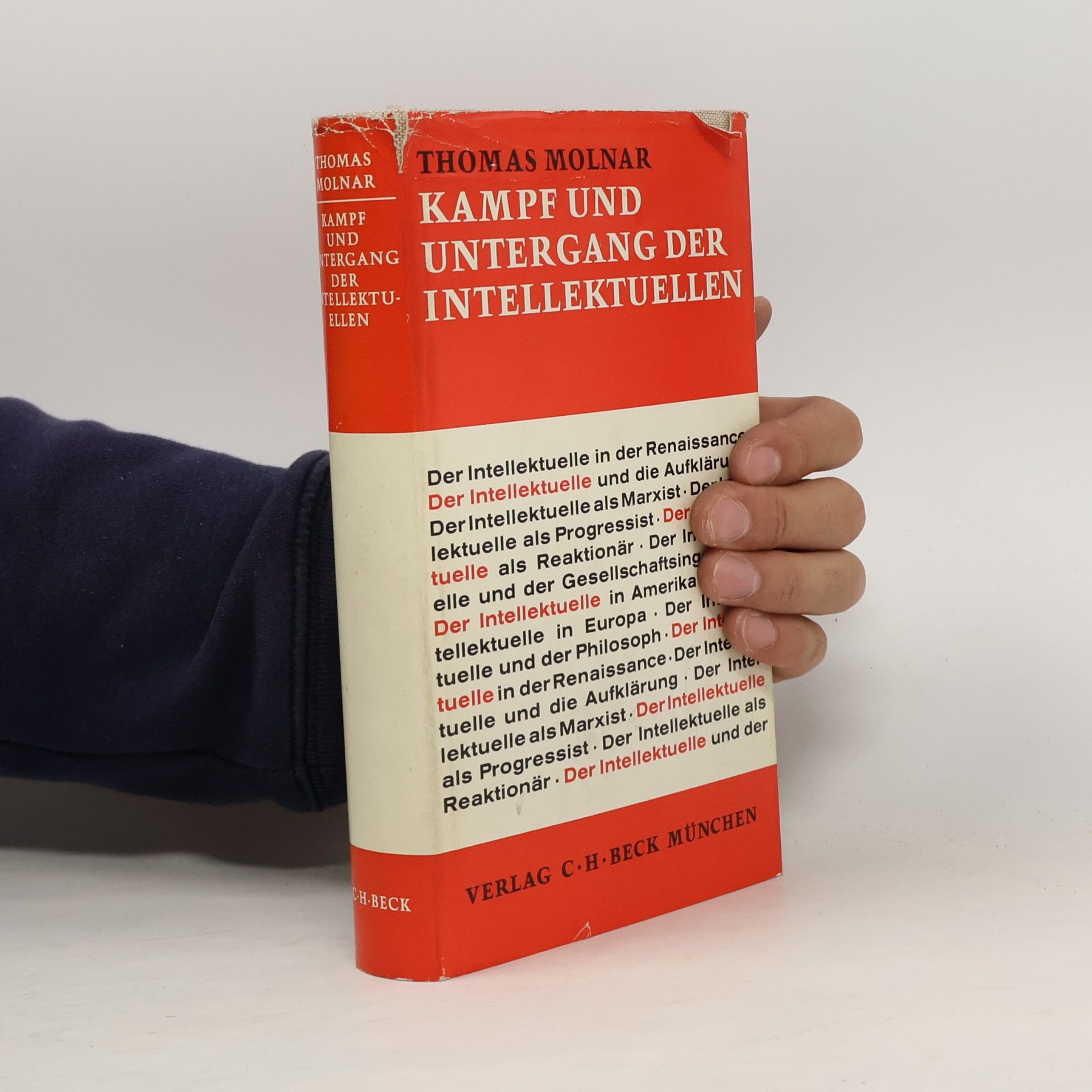 Kampf und Untergang der Intellektuellen