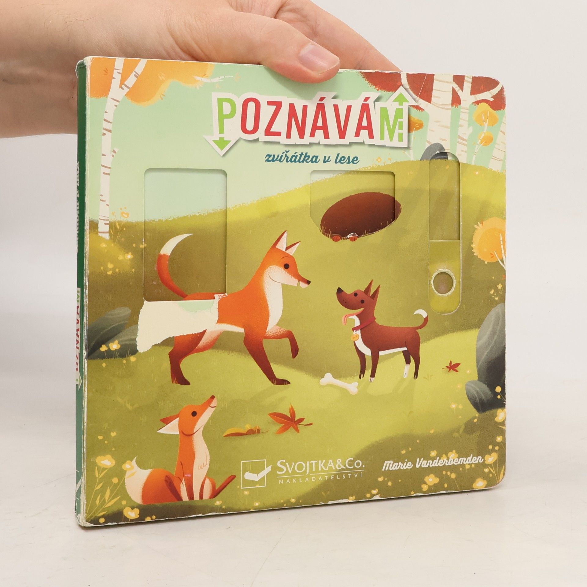 Marie Vanderbemden Poznávám zvířátka v lese