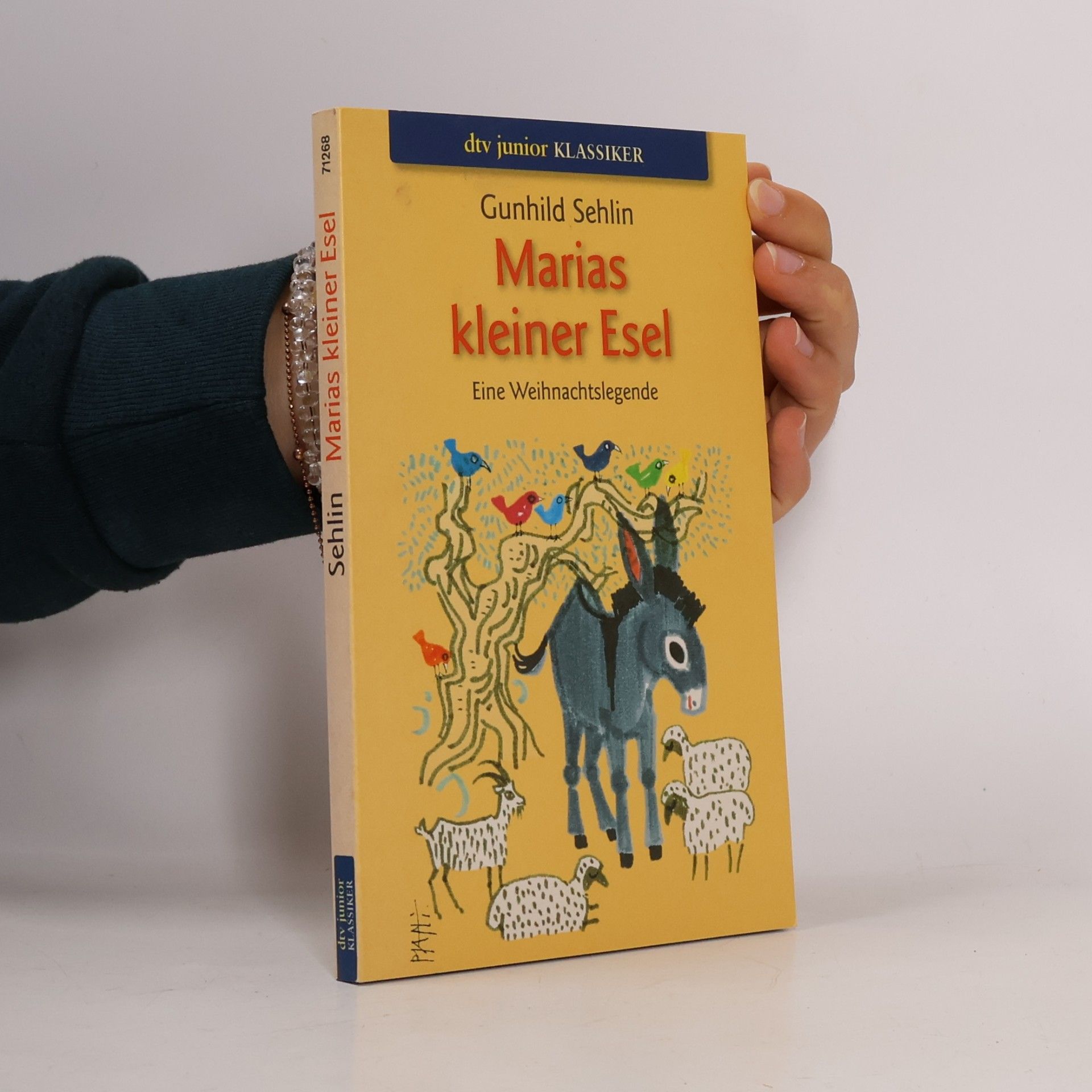 Marias kleiner Esel