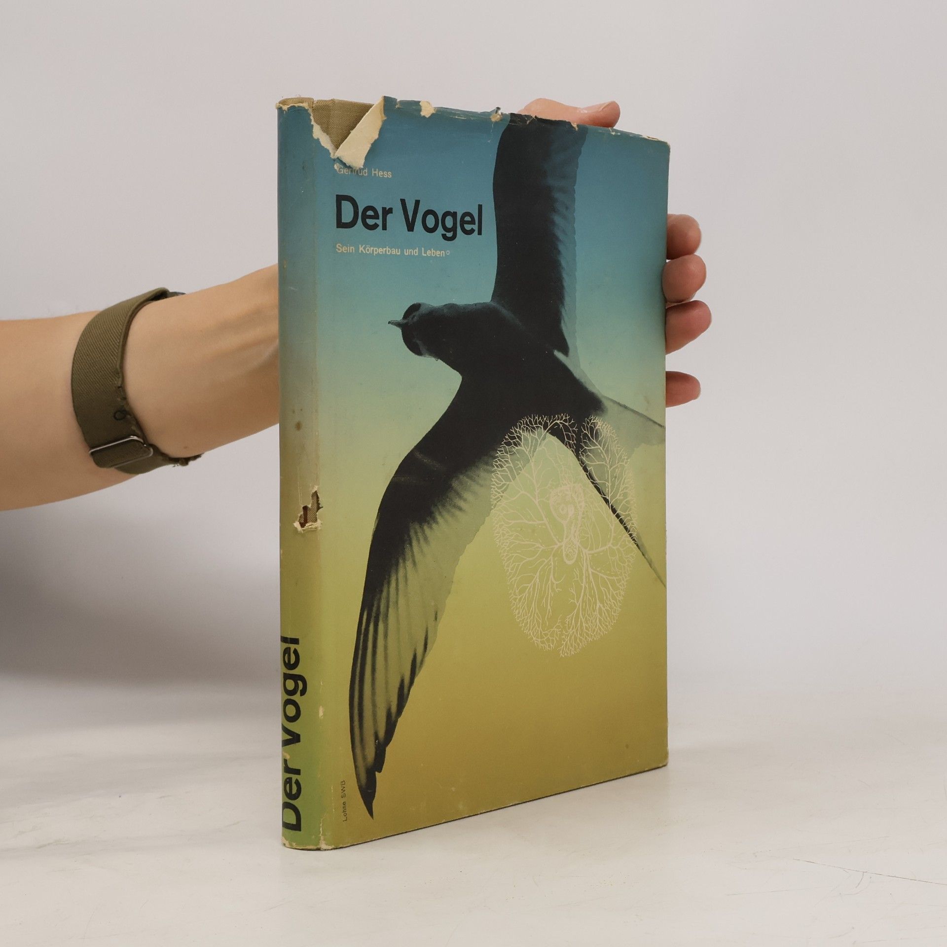Der Vogel