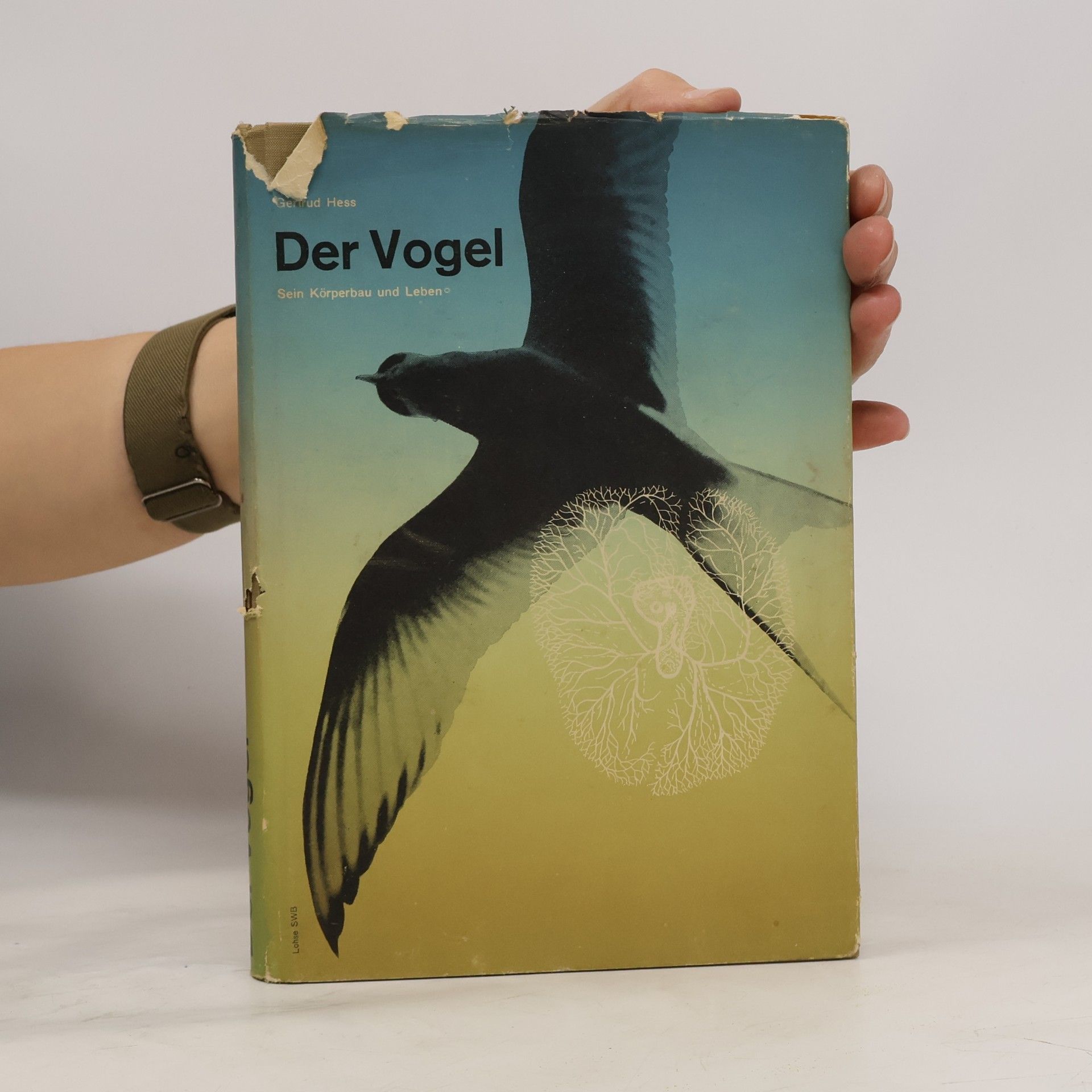 Gertrud Hess Der Vogel
