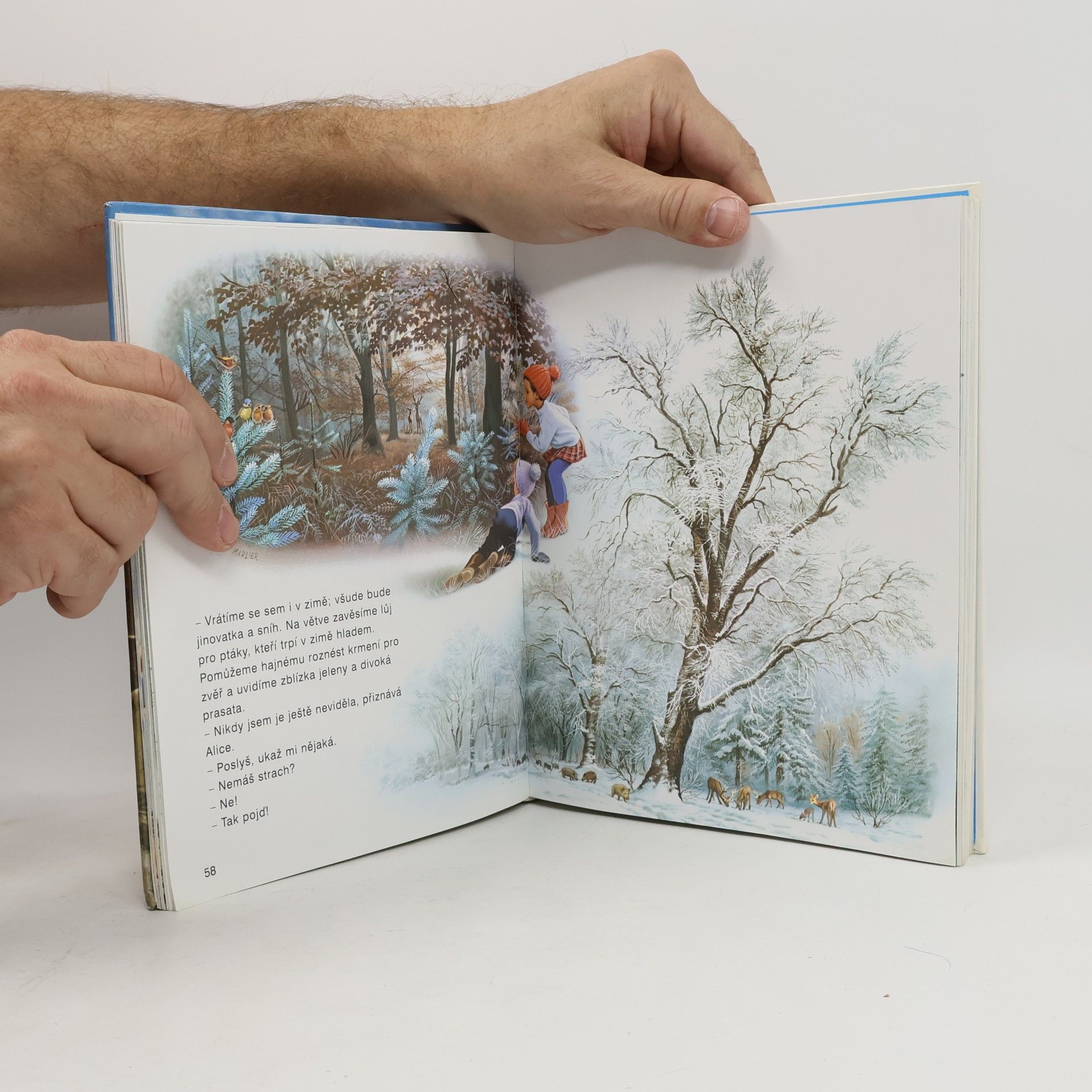 Autores varios Tomáš a Alice