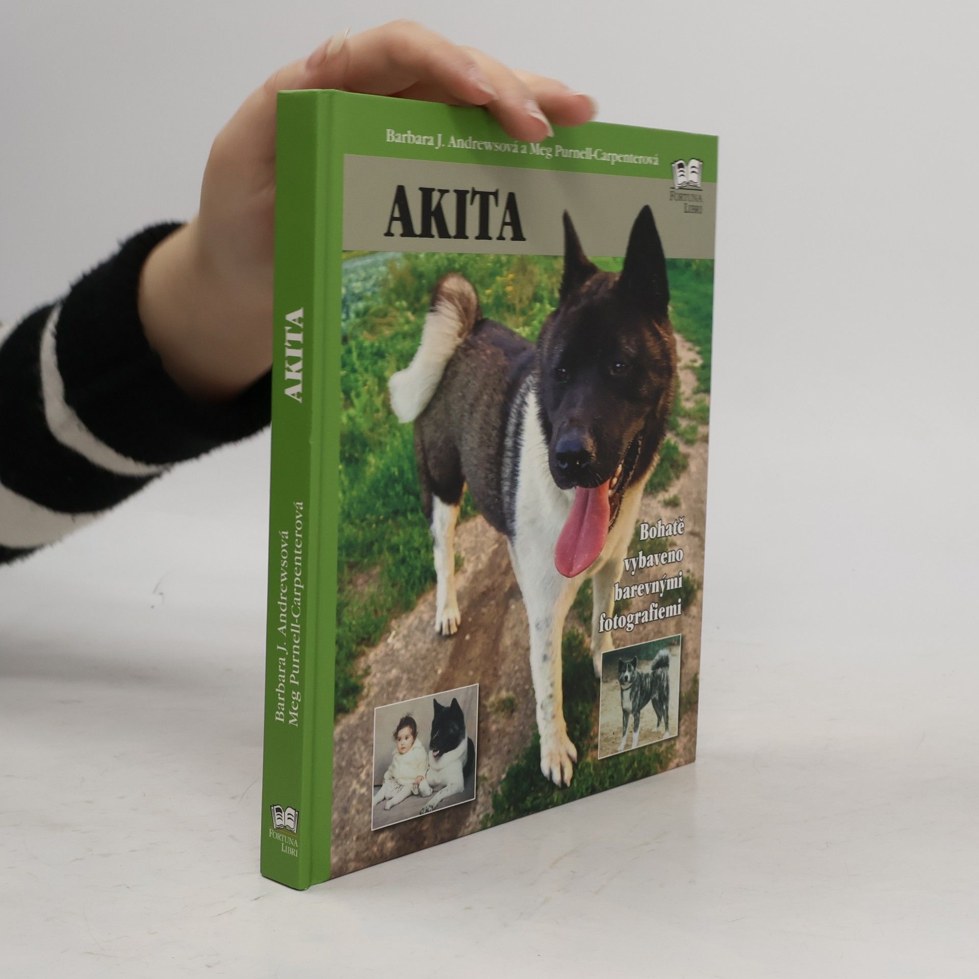Akita