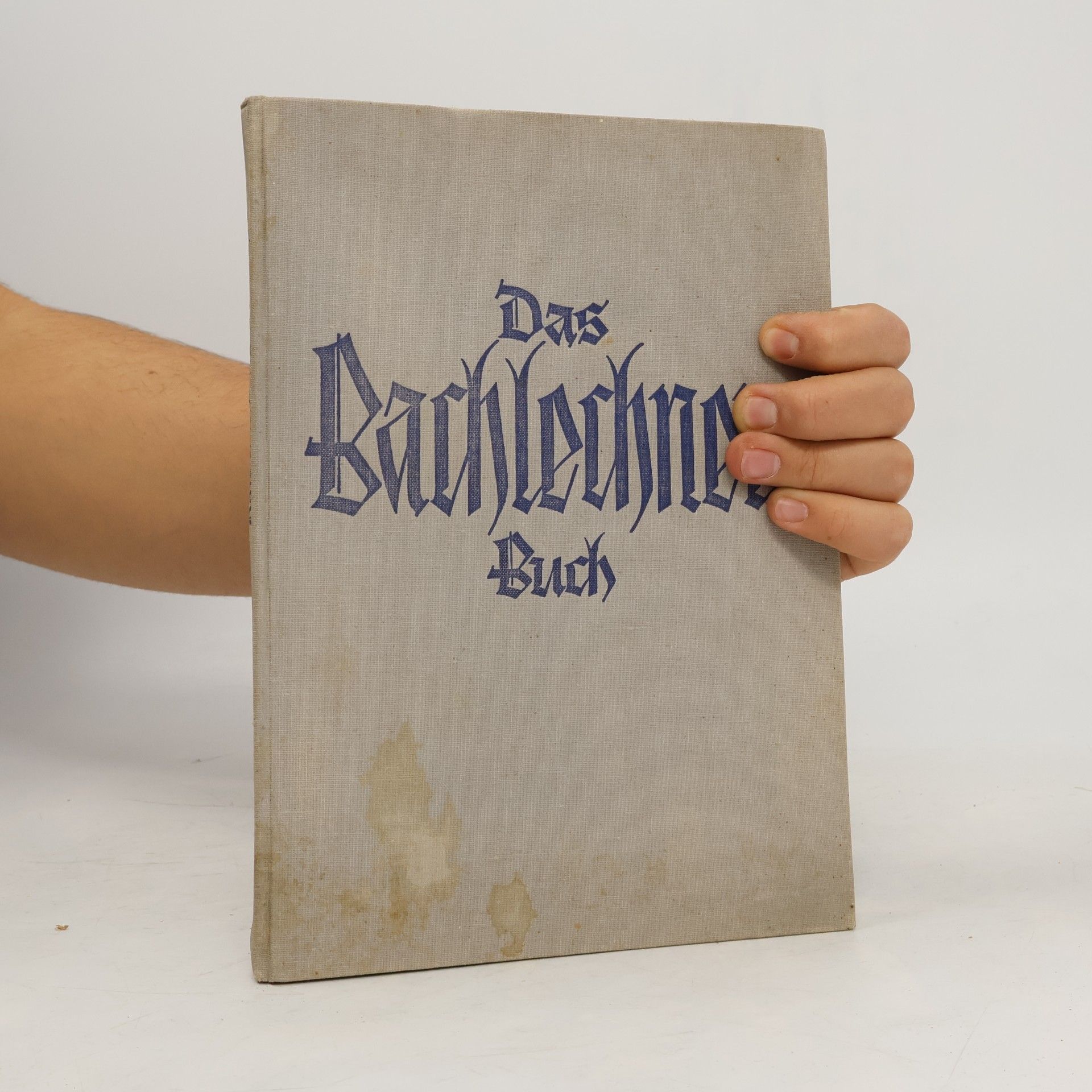 Bruder Willram Das Bachlechner-Buch