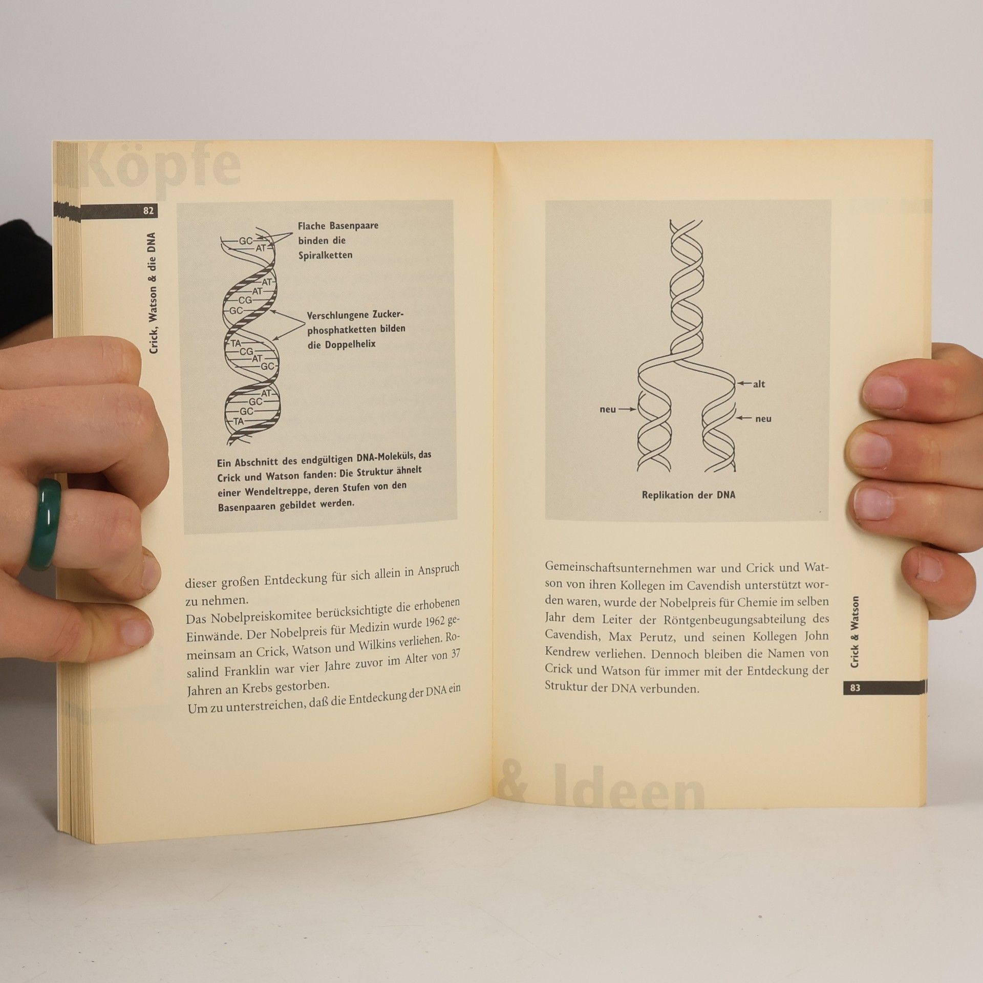Paul Strathern Crick, Watson & die DNA