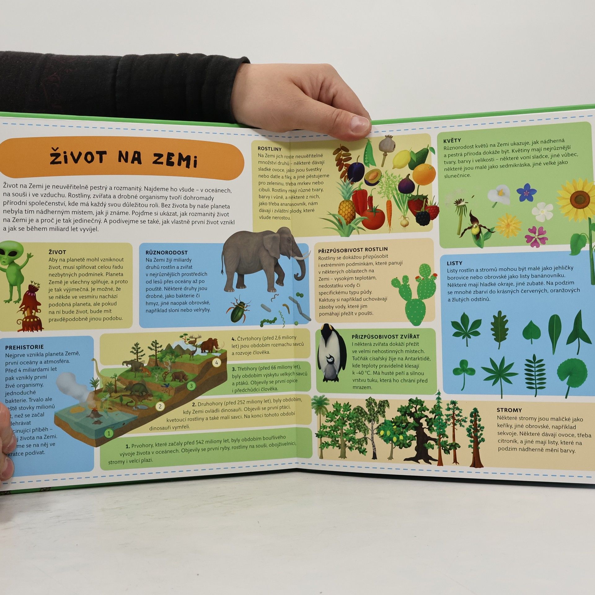 Oldřich Růžička Atlas planety Země pro děti