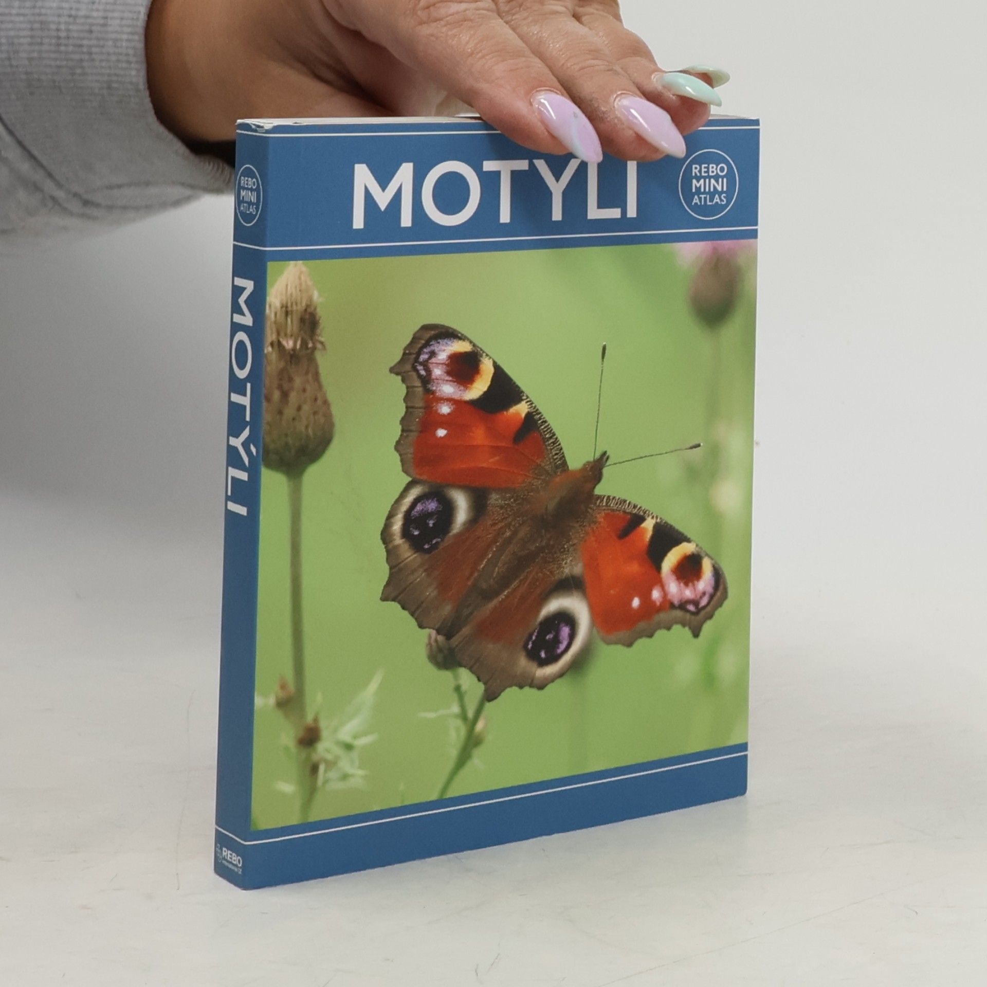 Autorenkollektiv Motýli miniatlas