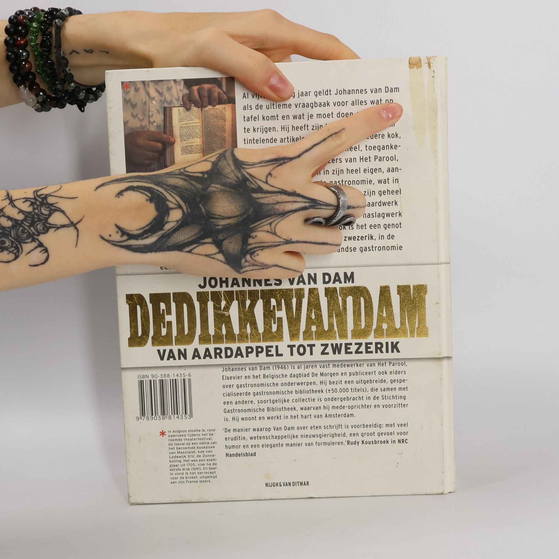 Johannes van Dam DeDikkeVanDam