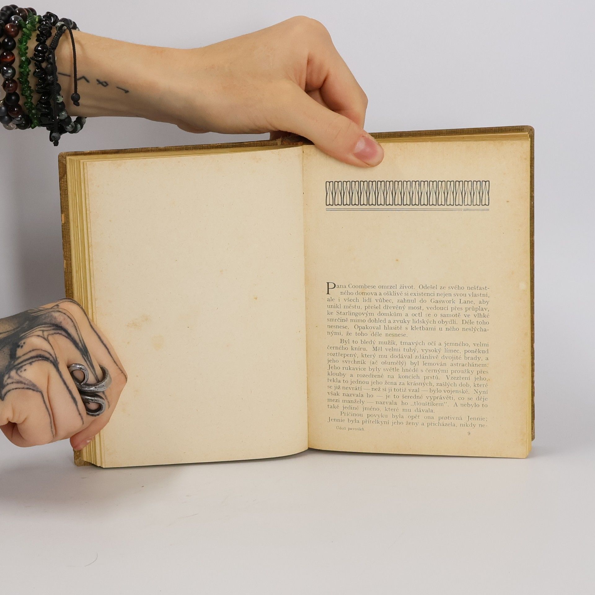 H. G. Wells Údolí pavouků