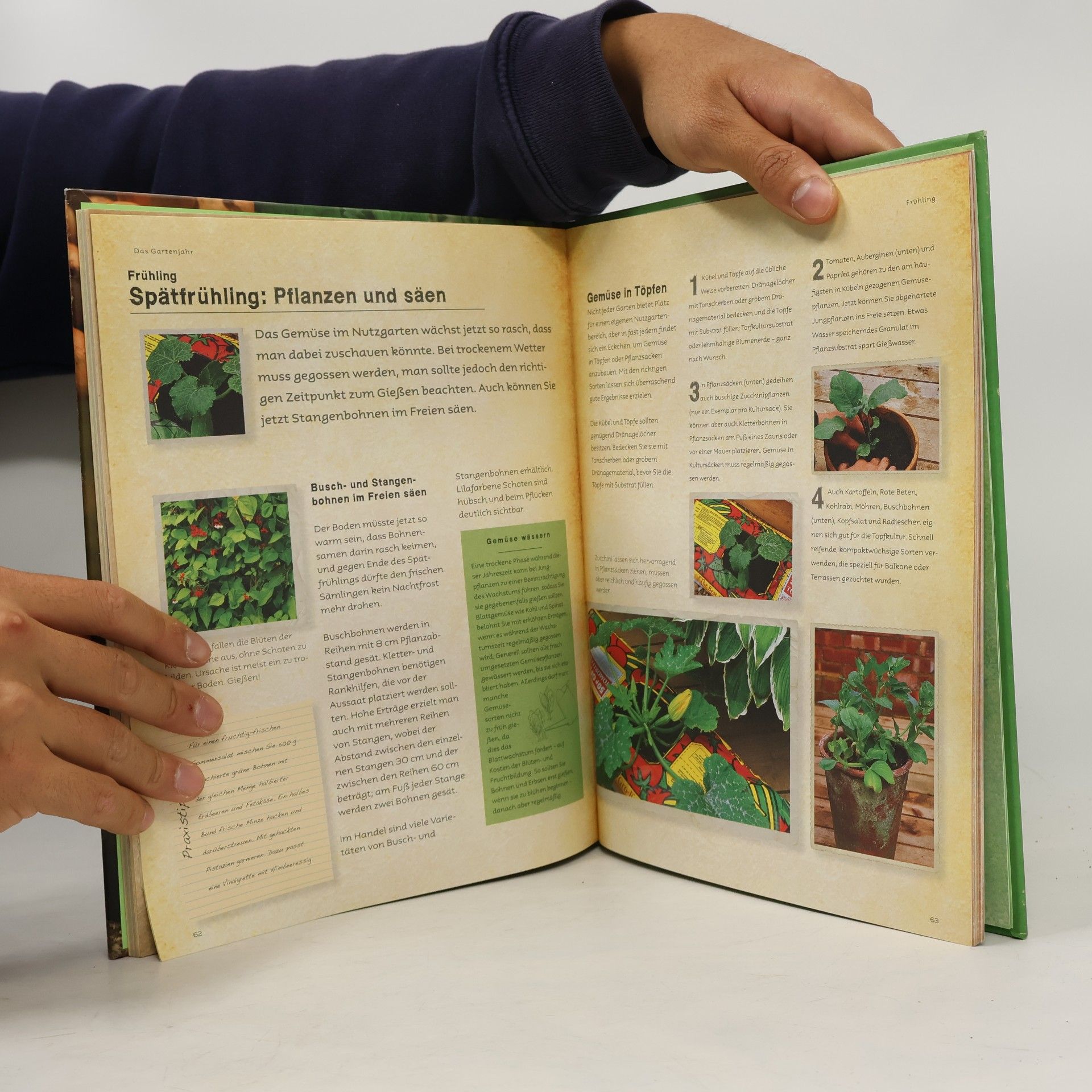 Autorenkollektiv Obst und Gemüse aus dem elgenen Garten
