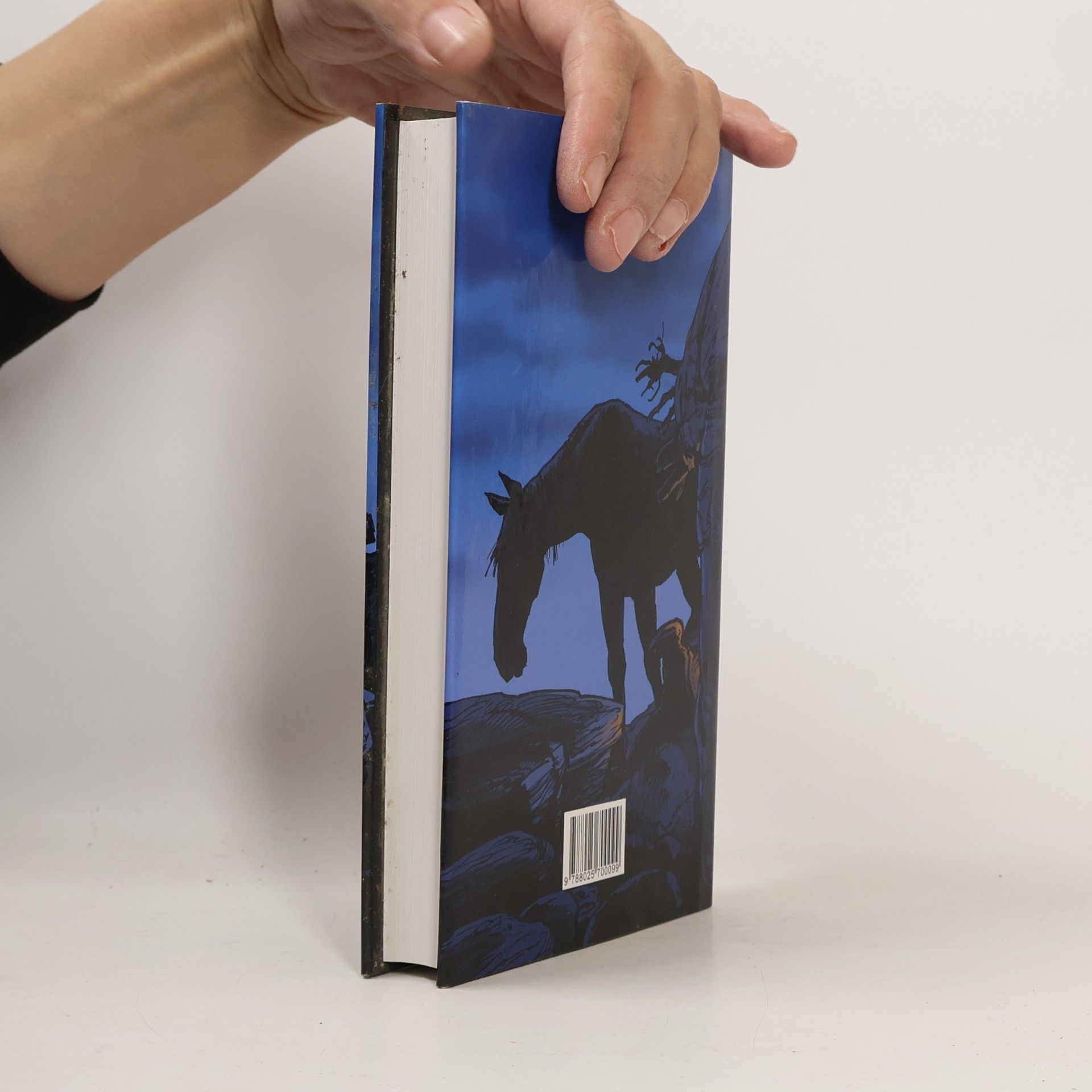 Cormac McCarthy Hranice