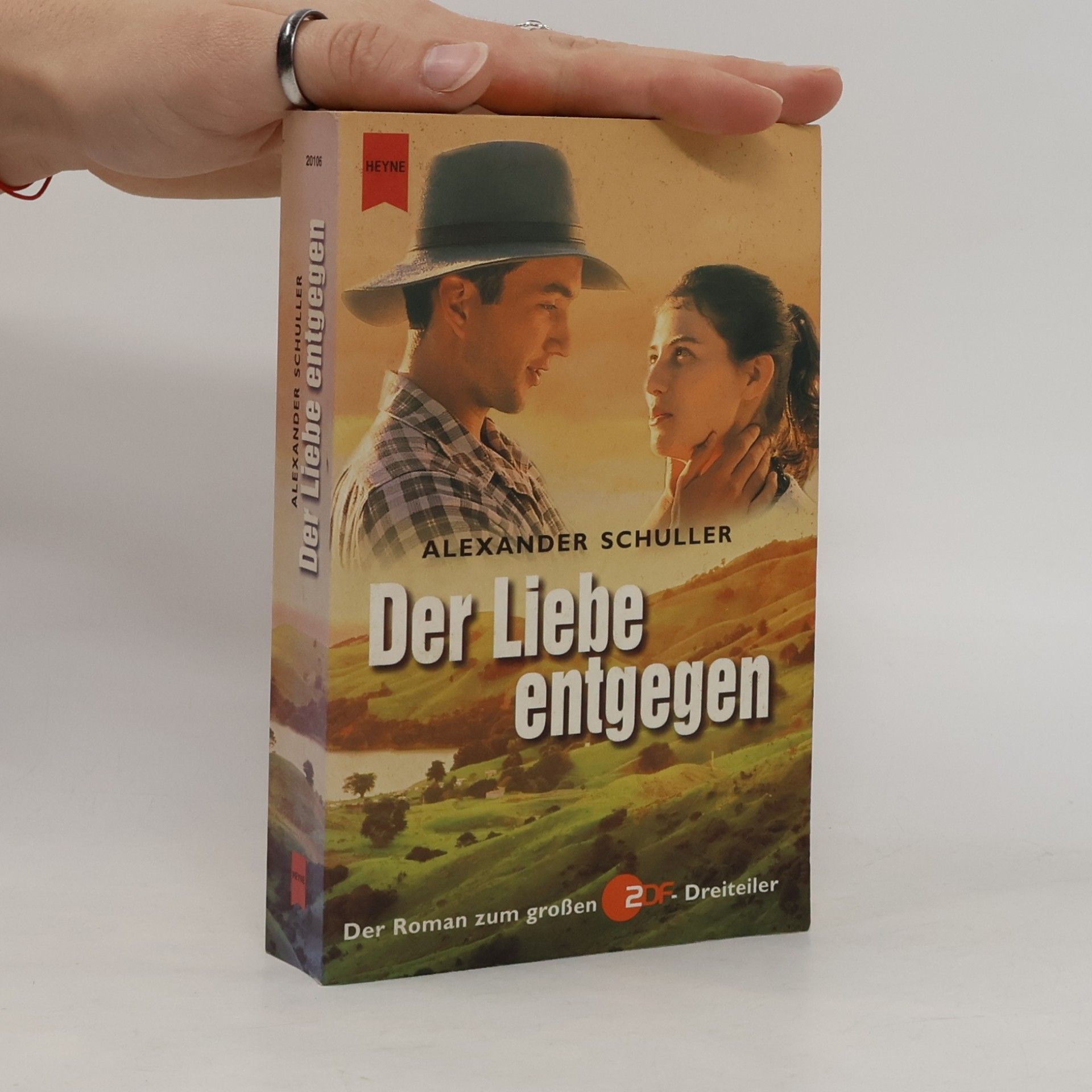 Der Liebe entgegen