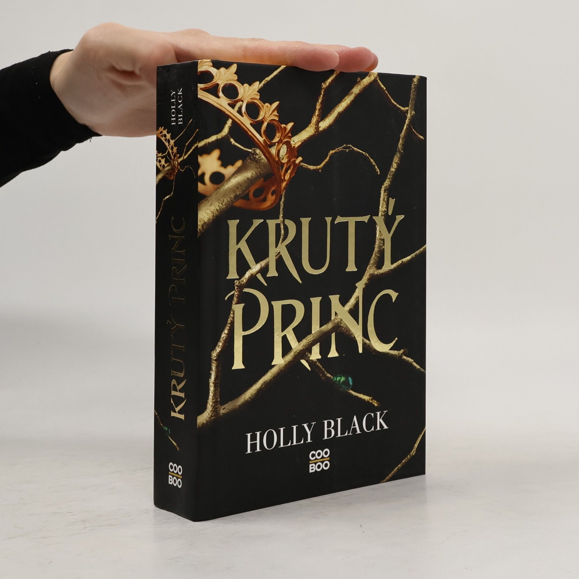 Holly Black Krutý princ