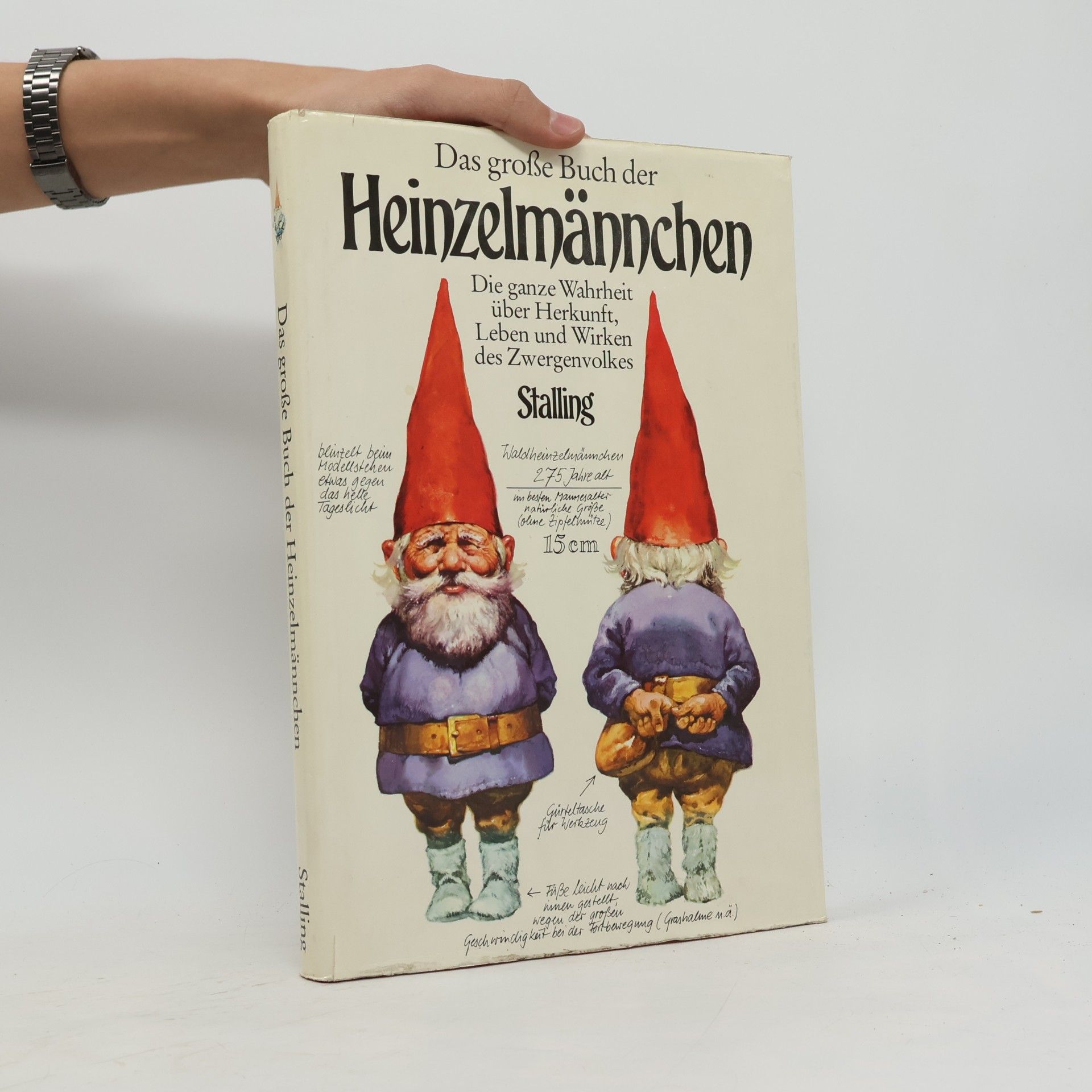 Wil Huygen Das grosse Buch der Heinzelmännchen