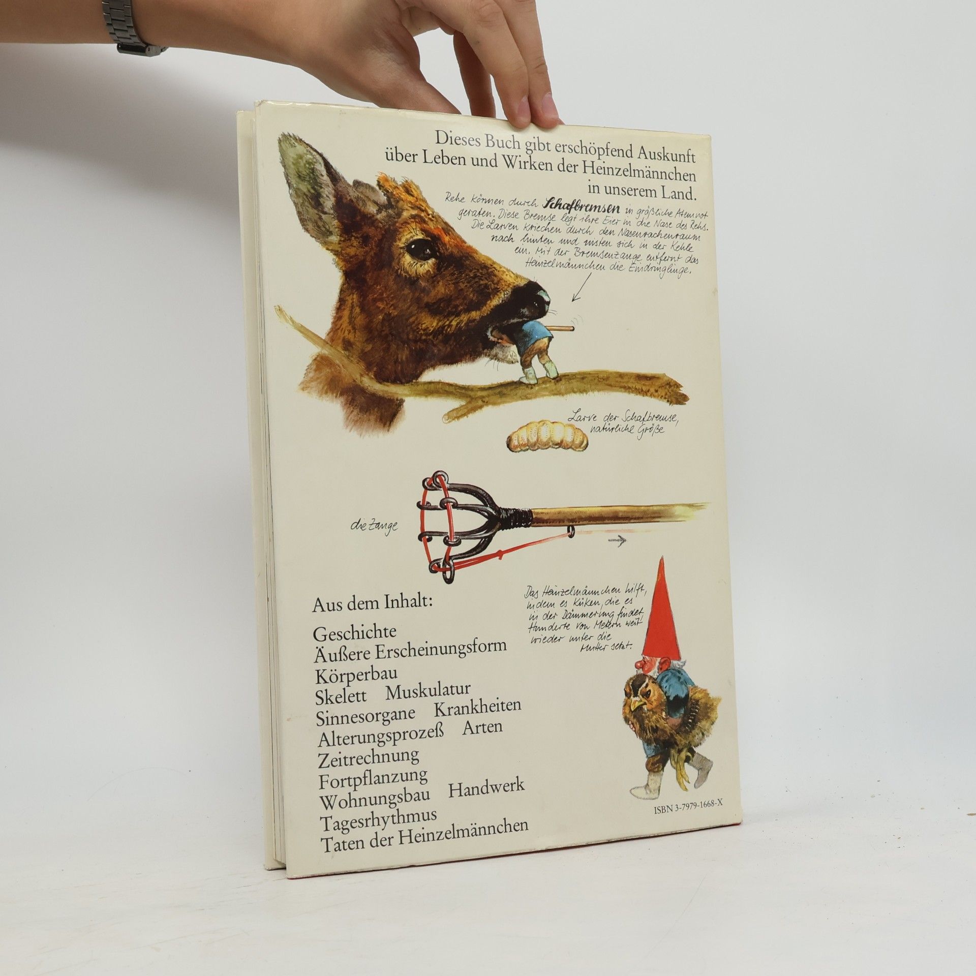 Wil Huygen Das grosse Buch der Heinzelmännchen